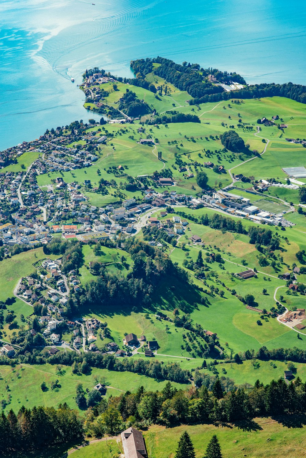 a landscape with trees and buildings by the water