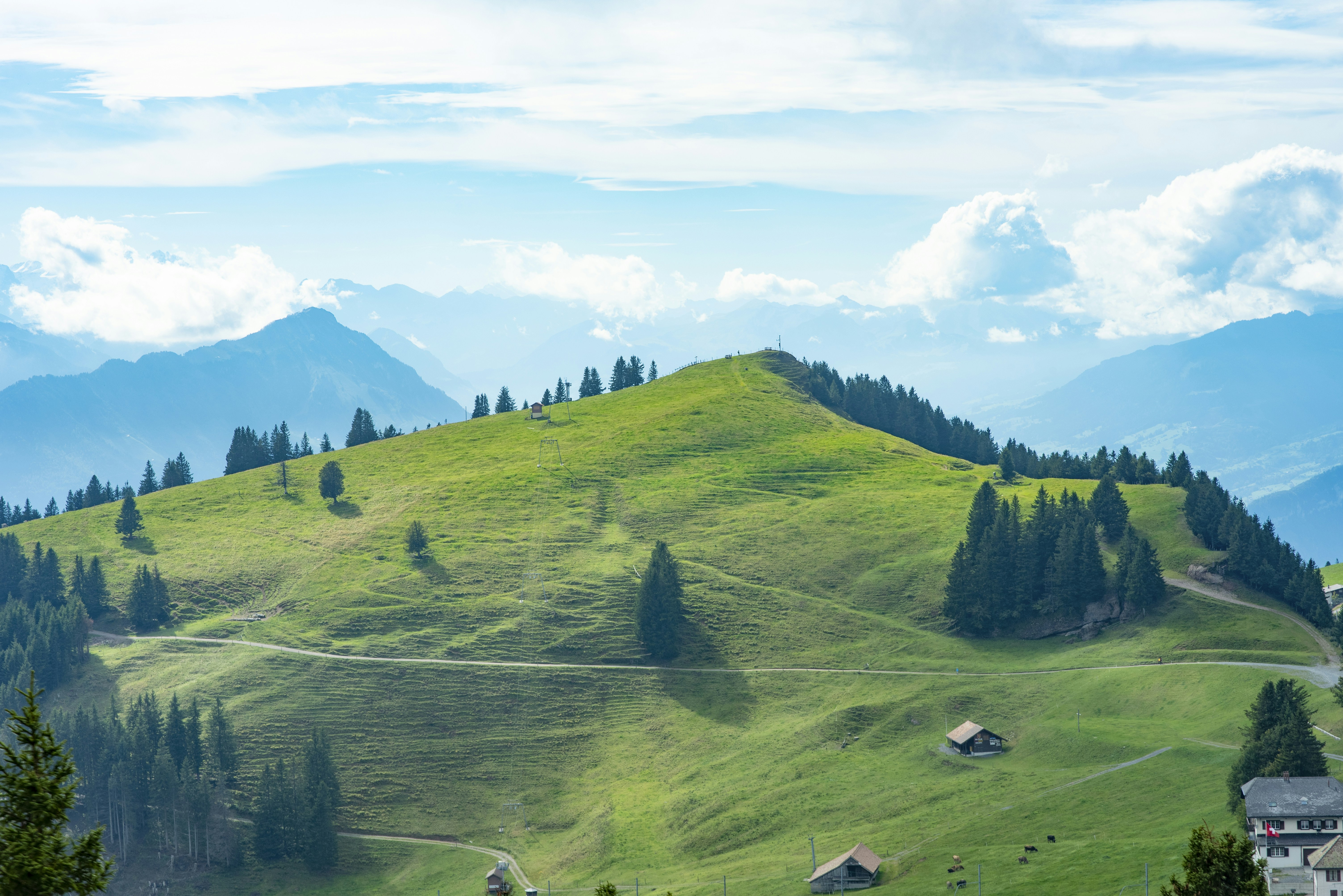 Photo by tommaomaoer