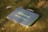 A portable solar charger with the brand name Newpowa and a 40W capacity is resting on grass or moss in a natural outdoor setting. The charger has a handle, suggesting it is designed for easy transport.