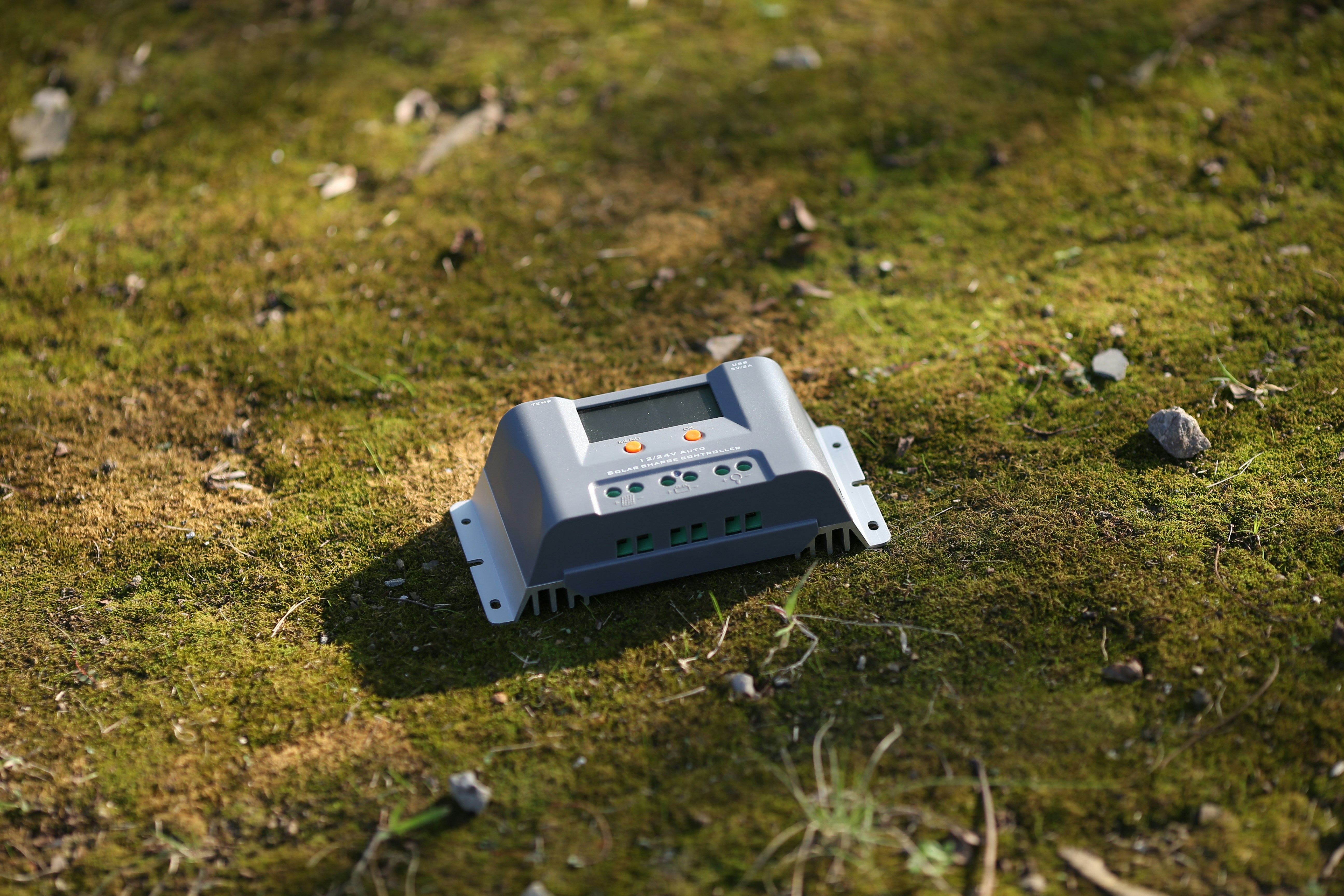 Temperature Sensors: The Bacterial Early Warning System (image credits: unsplash)