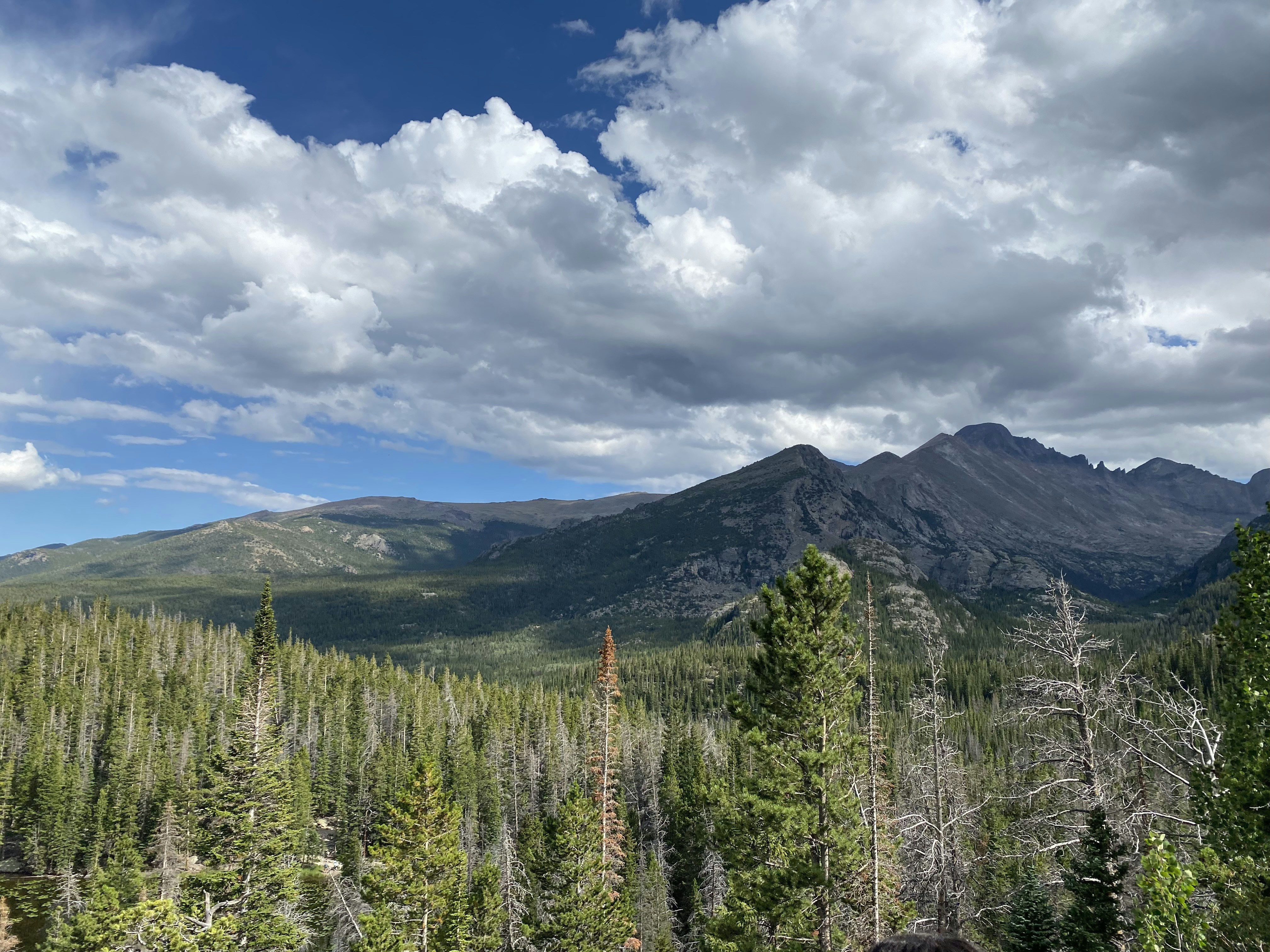 Photo by juliawhite12