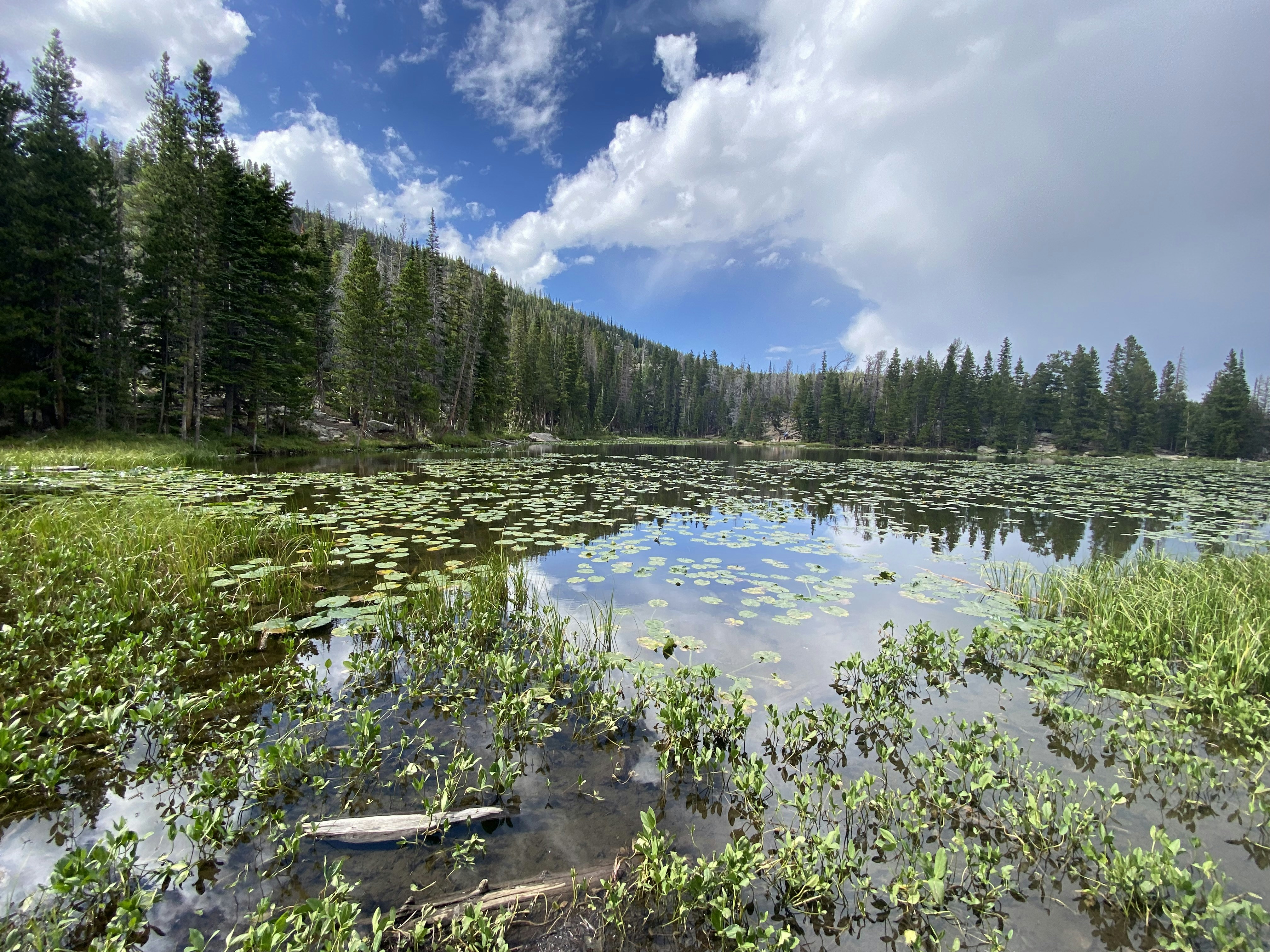 Photo by juliawhite12