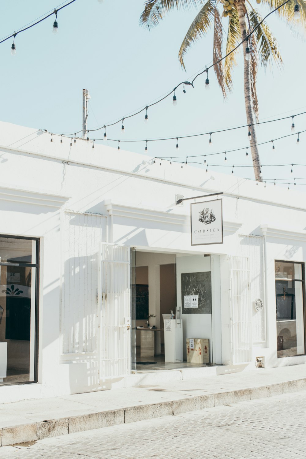 a white building with a palm tree