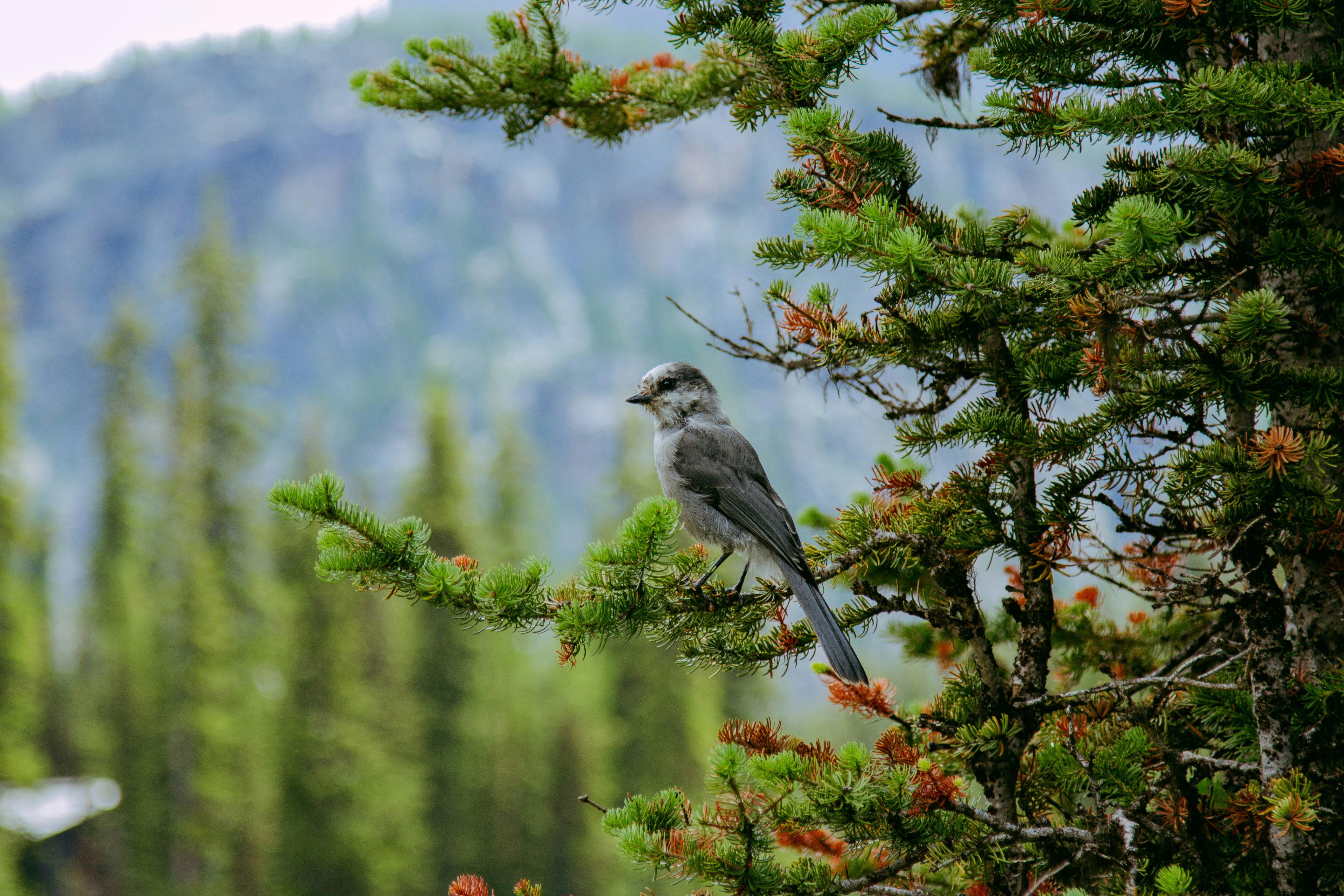 Photo by sonicfire3000