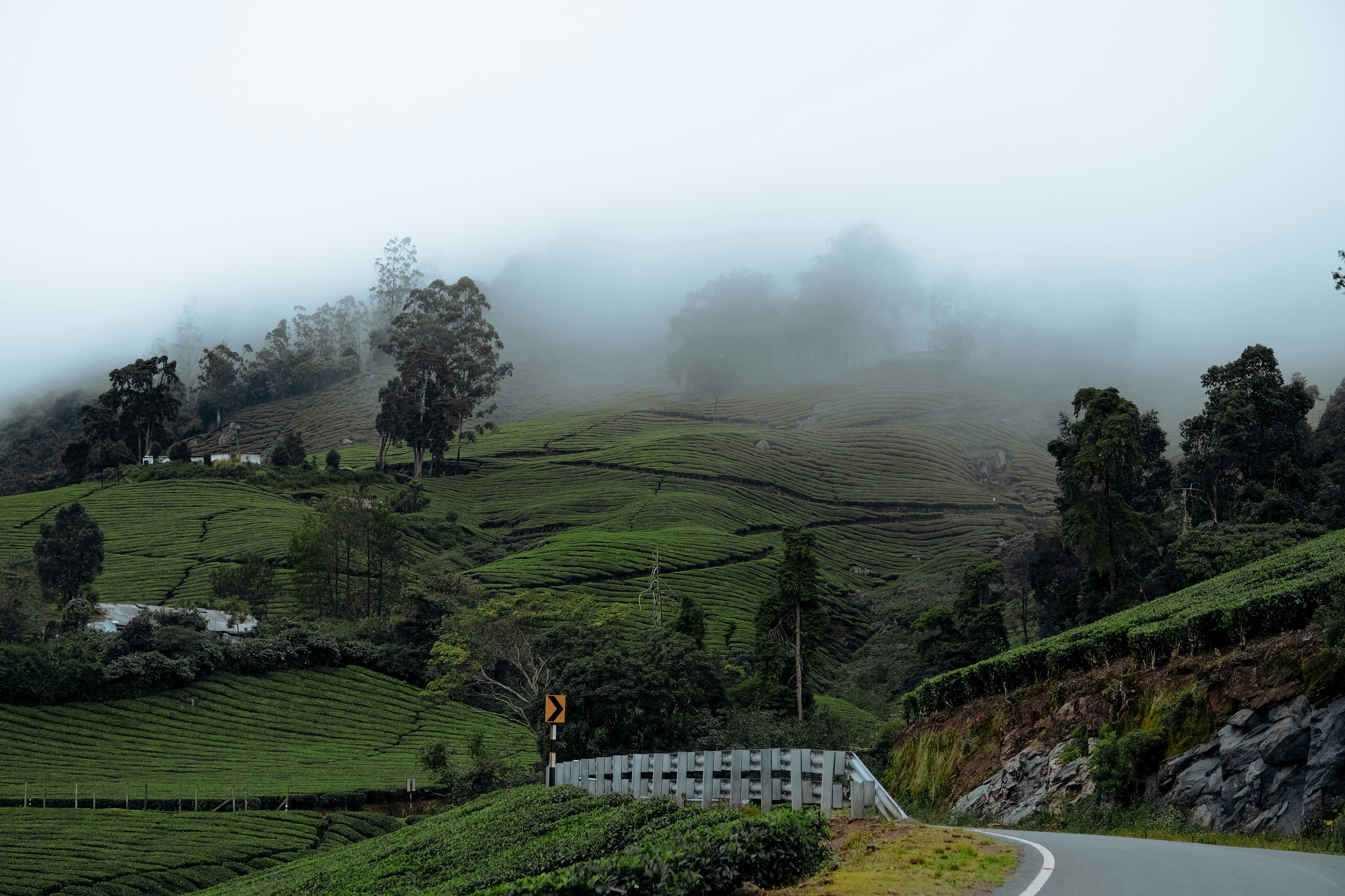 A foggy valley with trees and a building