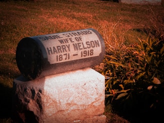 A gravestone is situated in a grassy area with surrounding foliage. The stone is dark and cylindrical with engraved text dedicating it to Sadie Straub, wife of Harry Nelson, with the dates 1871-1918. The surrounding area is illuminated with warm lighting, highlighting the texture of the stone and greenery.
