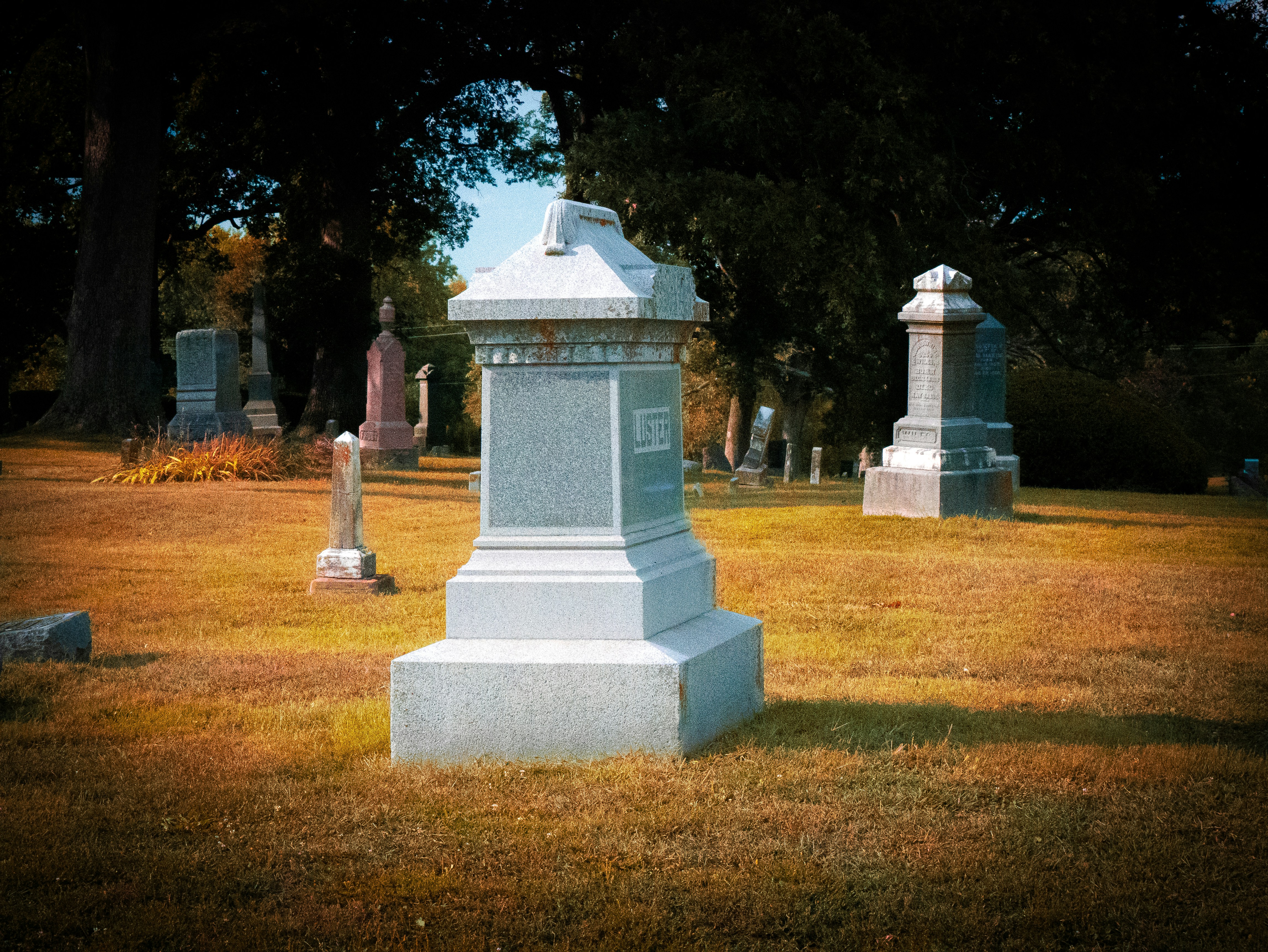 Photo by bombasticlight