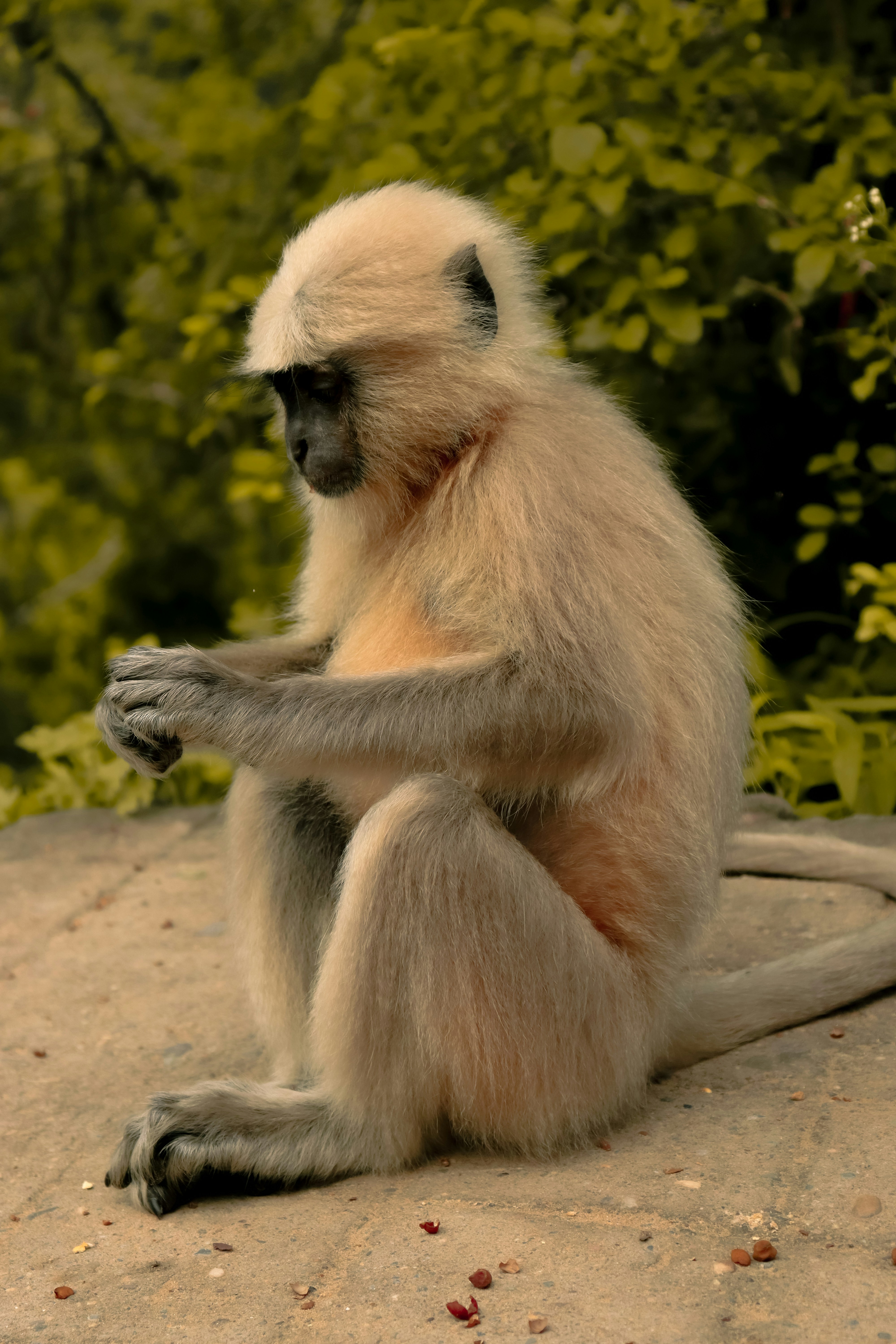 Photo by gautamkr_01