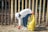 A person wearing a white cap, mask, and gloves picks up trash with a yellow garbage bag near a metal fence in front of a brick building.