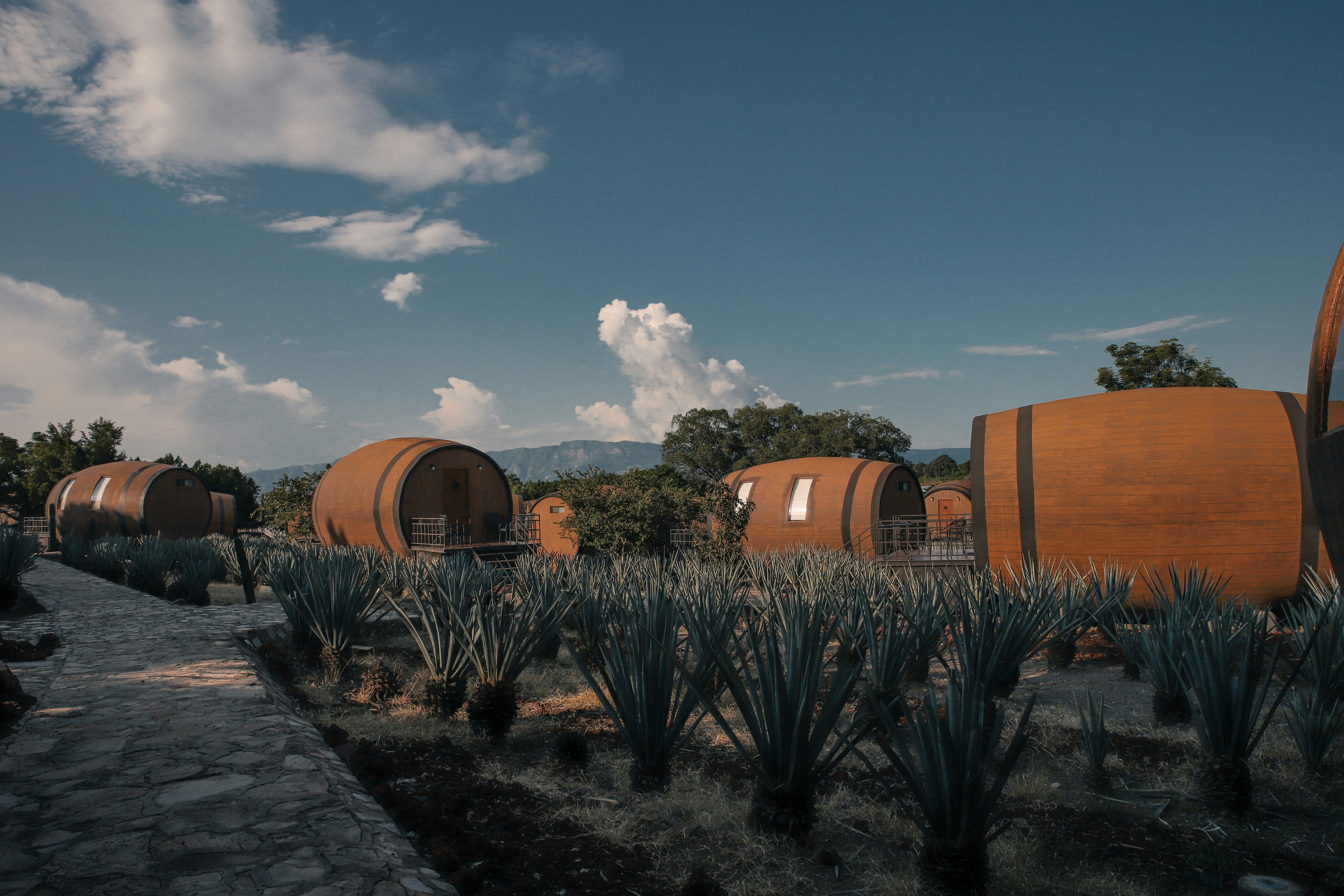 Oaxaca’s Hierve el Agua, Mexico - None