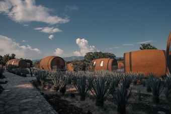 Several barrel-shaped cabins are situated in a landscape filled with agave plants under a clear sky. The scene is set with mountains in the distant background and a stone pathway leading through the area.