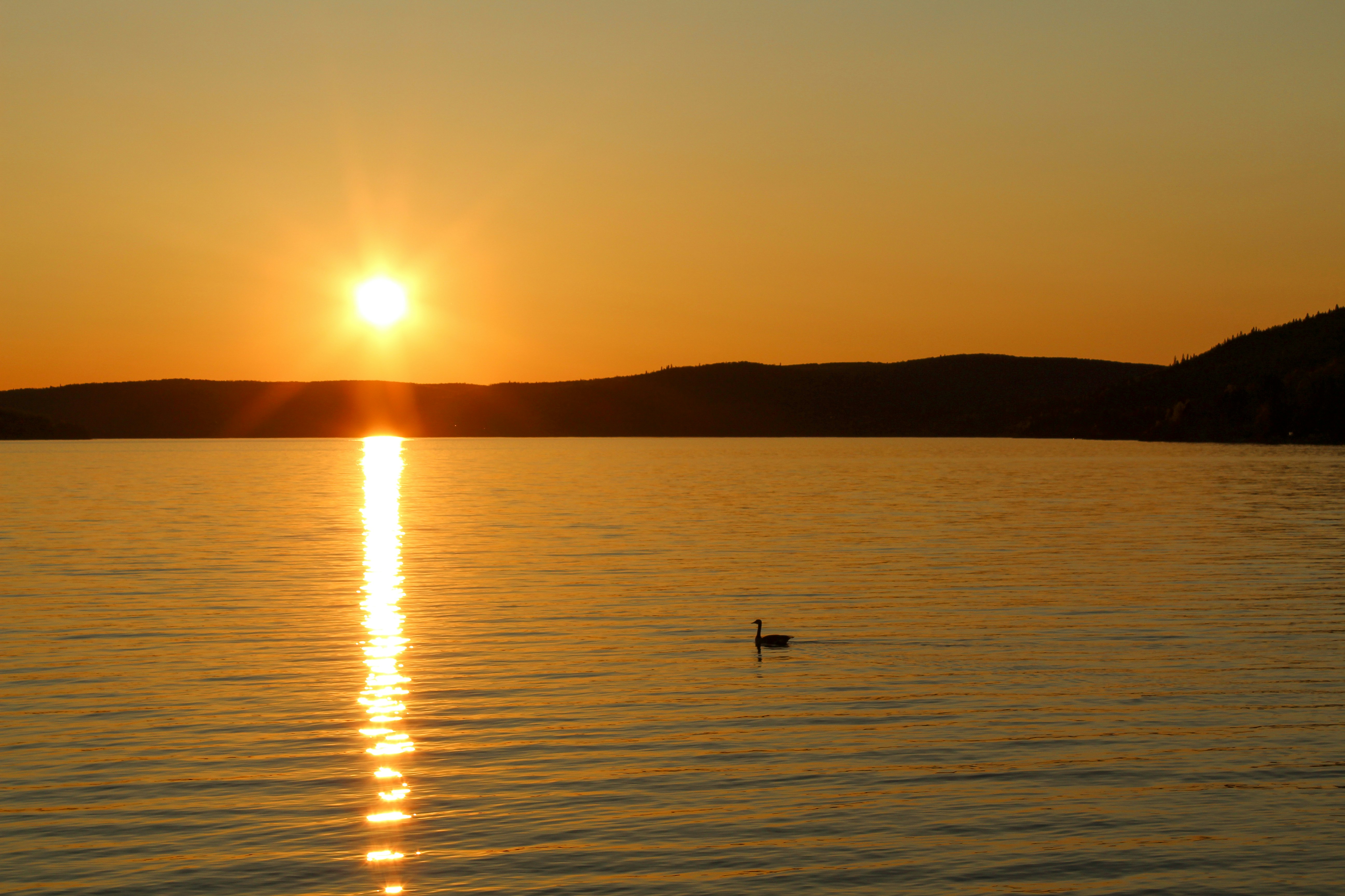 Photo by katherinestpierre