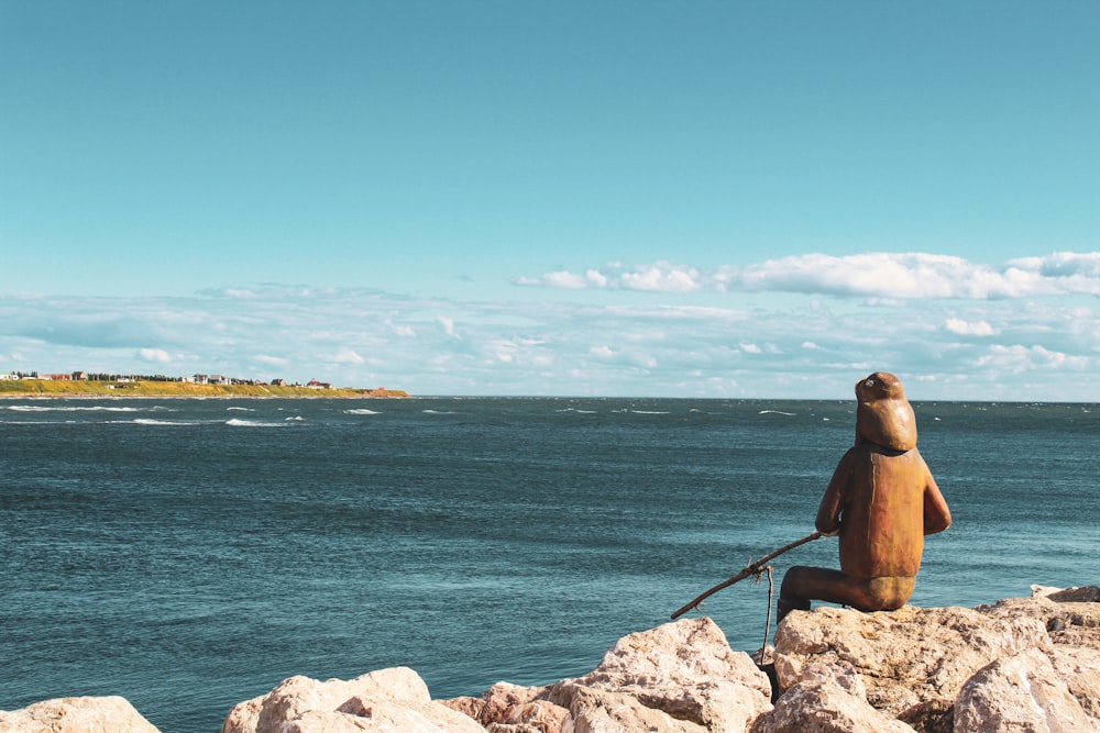 a seal on a rock by the water