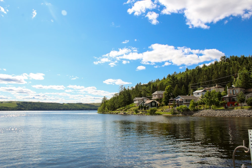 a body of water with houses and trees around it