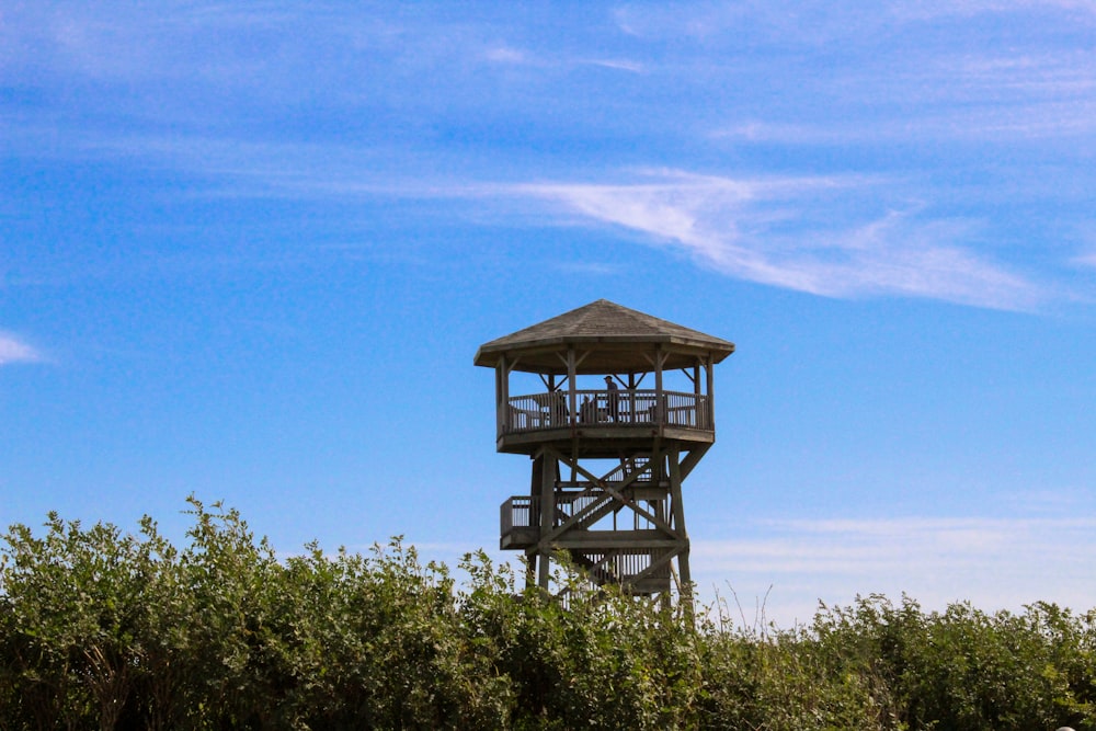 a structure in the middle of trees