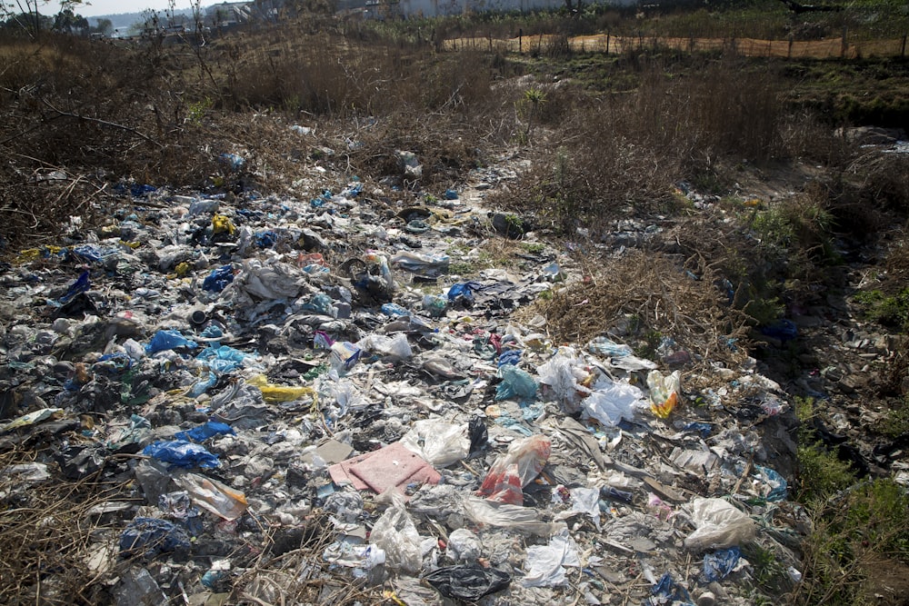 a dump site with trash