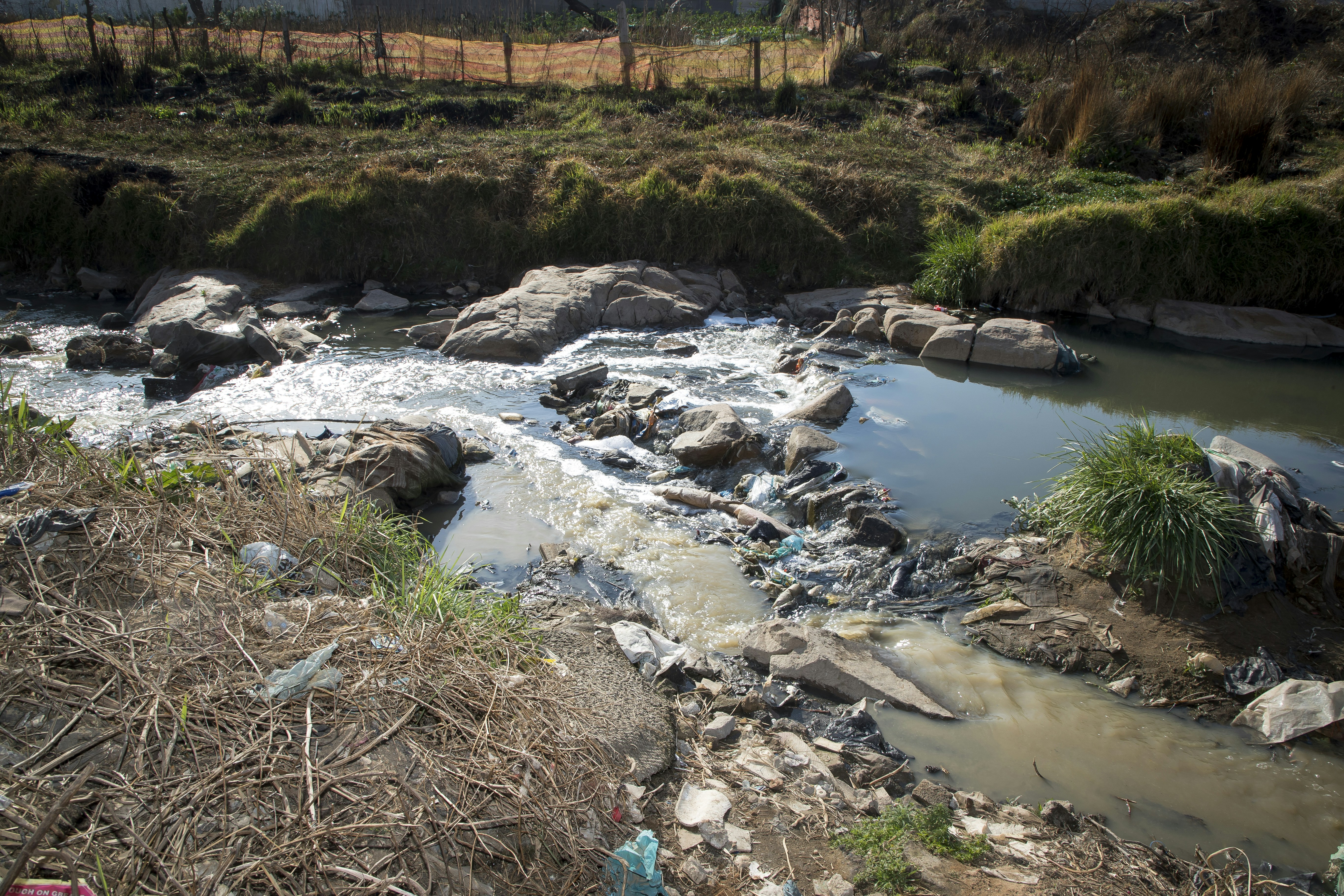 a river with rocks and grass