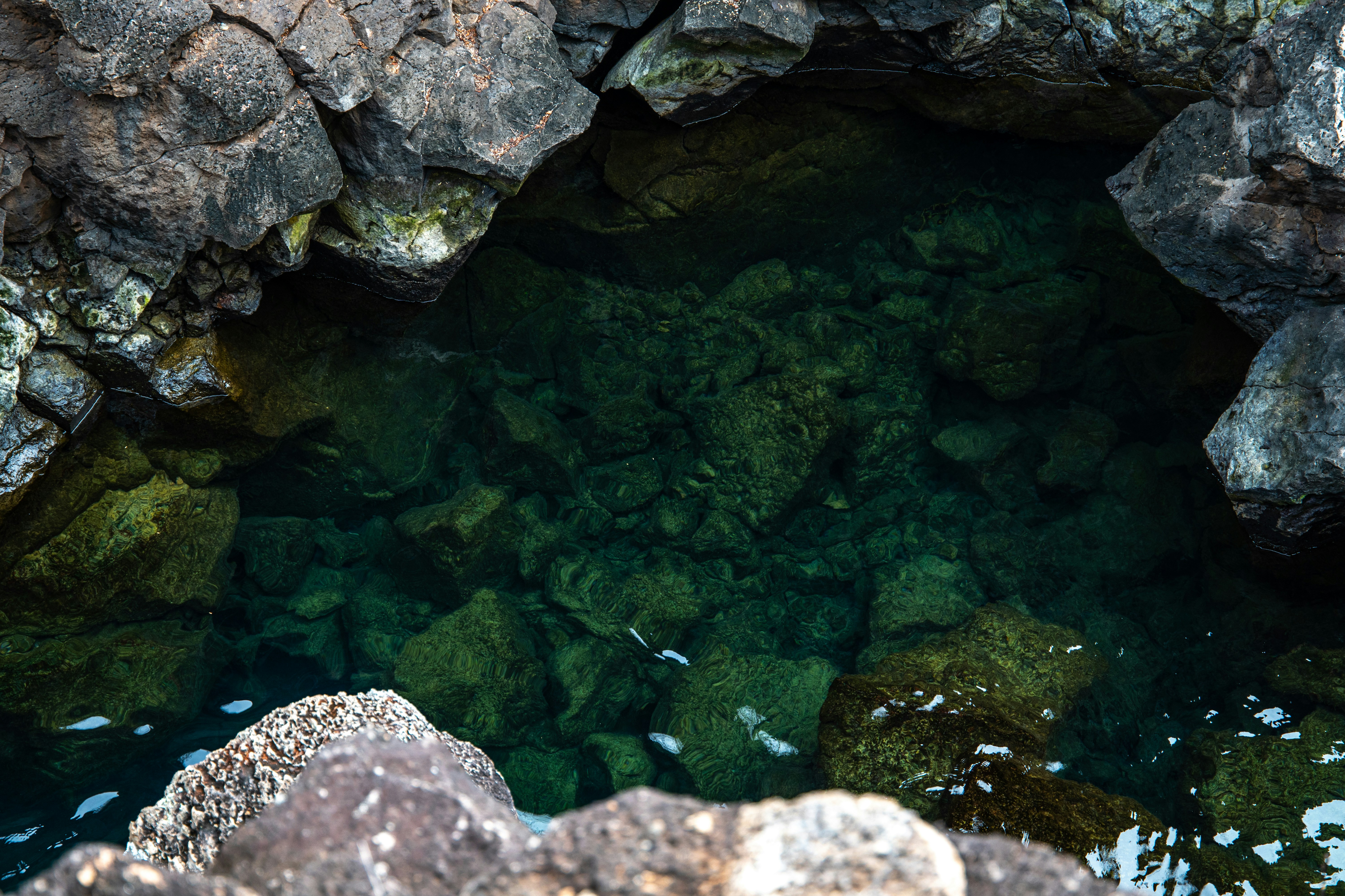 Photo by rafaidrovofoto