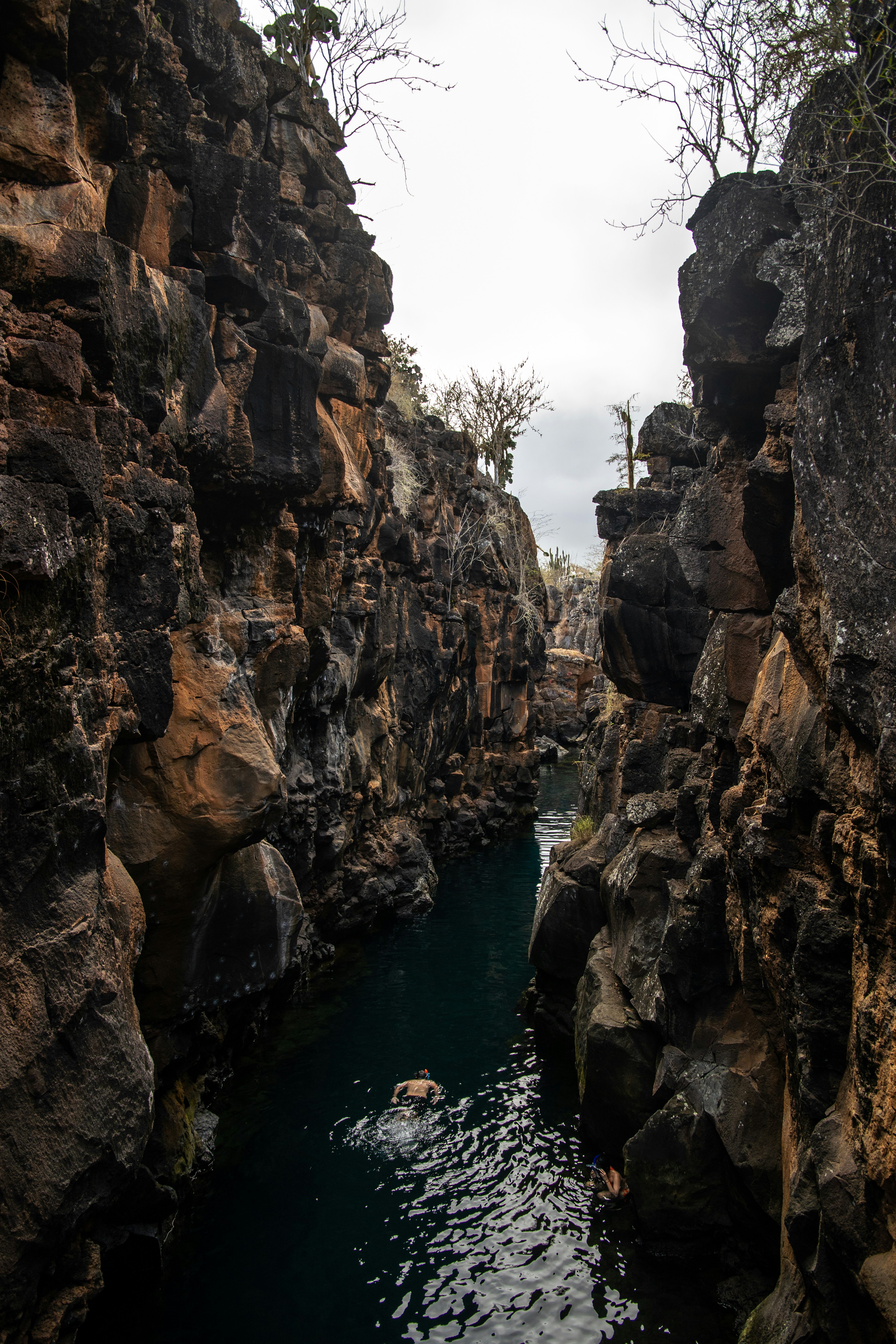 natural swimming pool