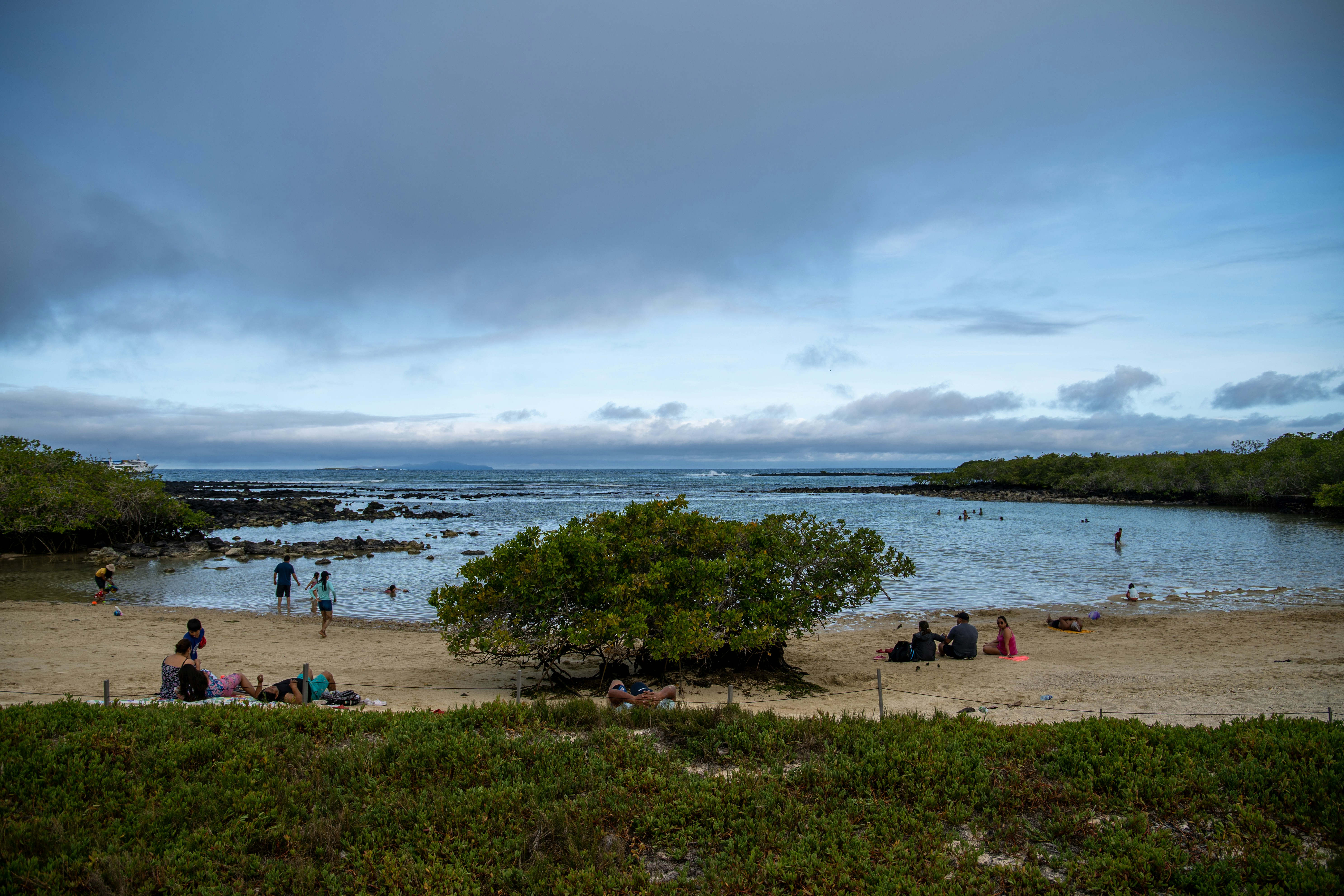 a group of people on a beach
