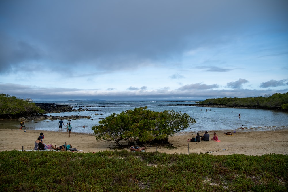 un gruppo di persone su una spiaggia