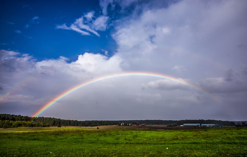 a rainbow over a field