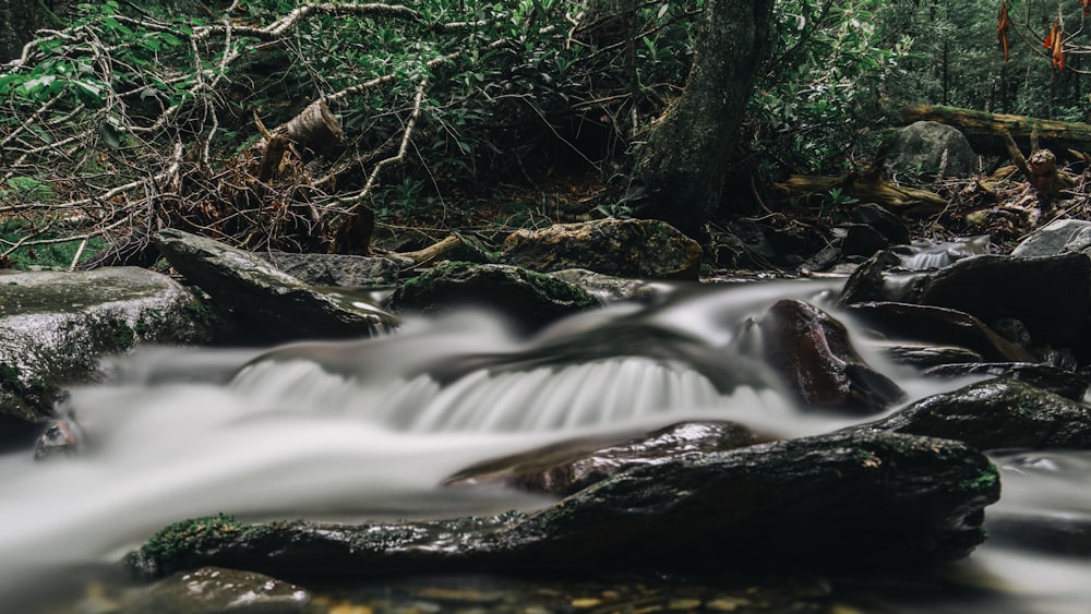 un courant d’eau qui coule à travers les rochers