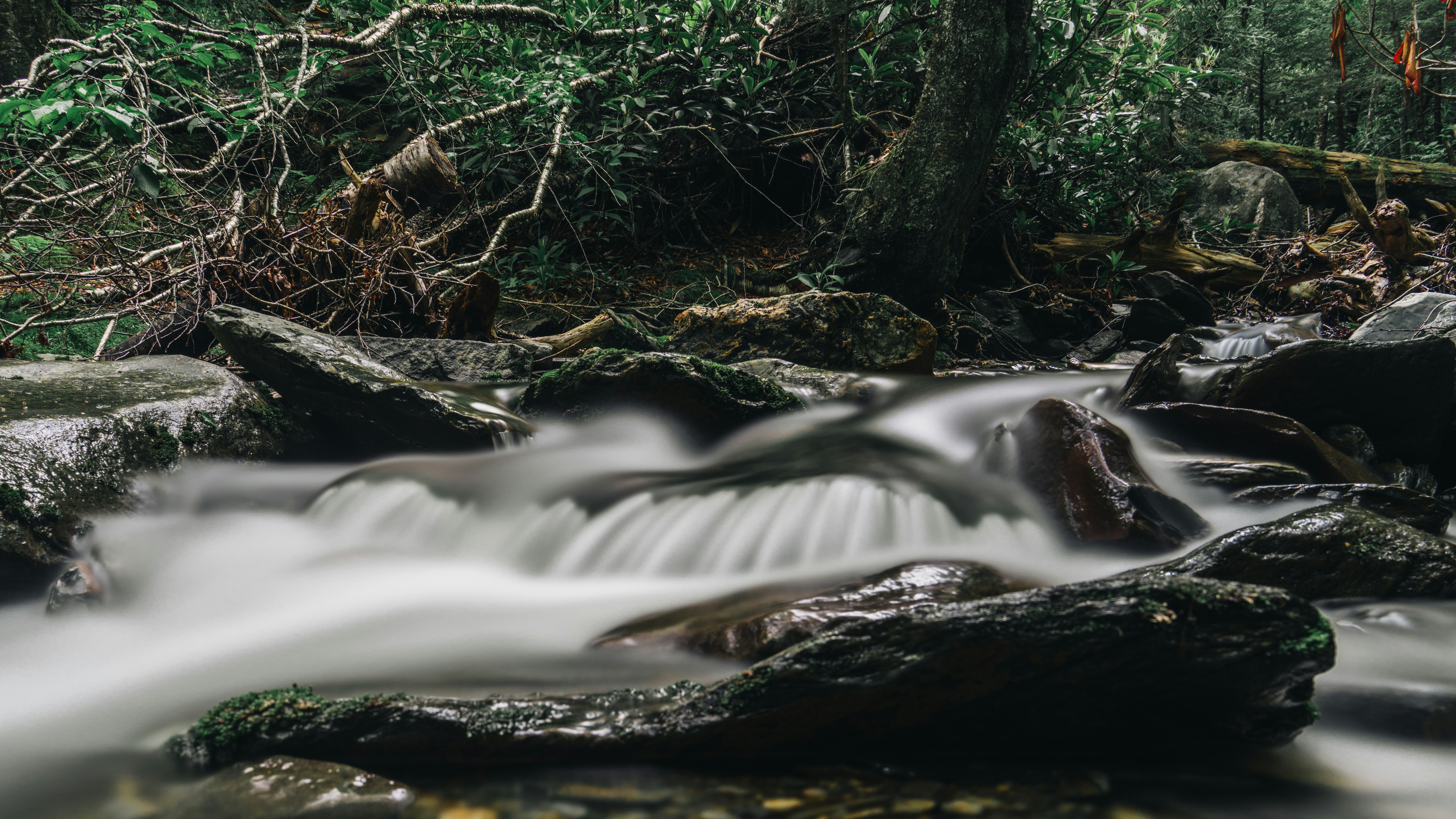 Blue Ridge + Smokies