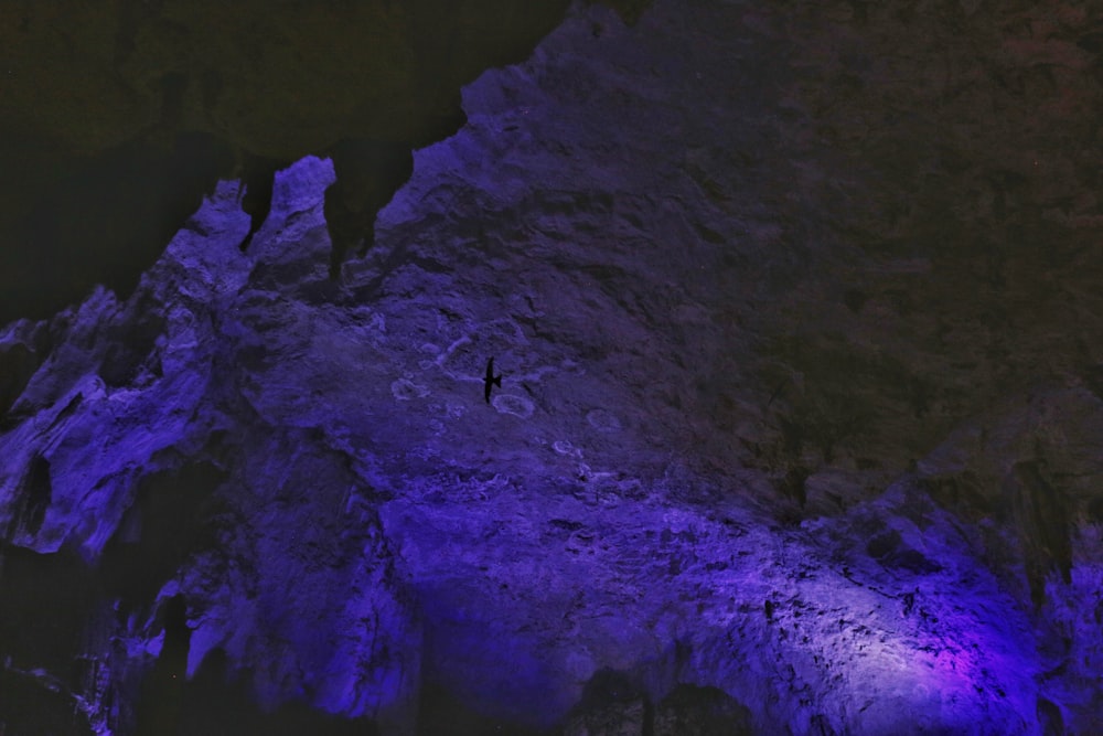 a group of people on a mountain