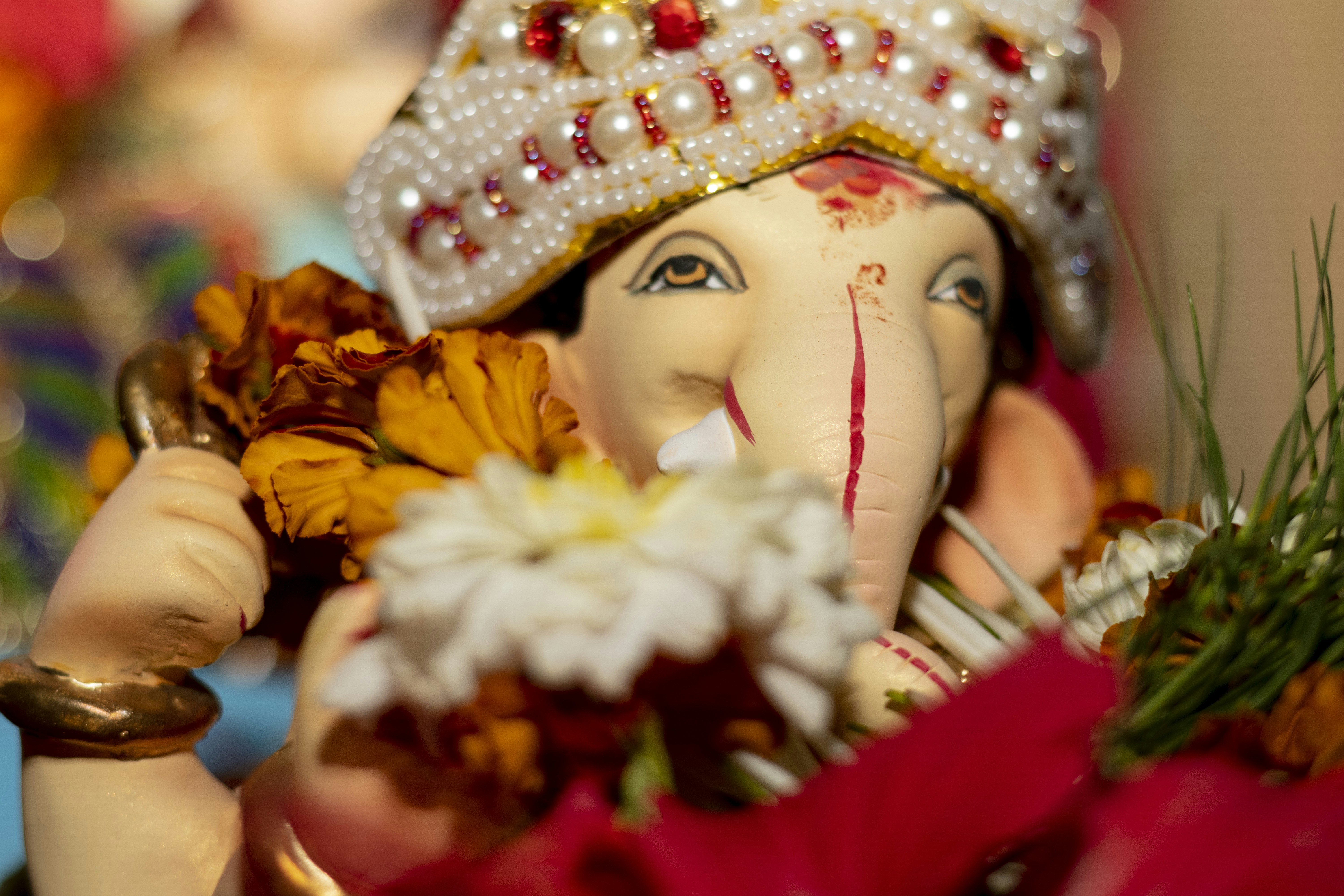 Photo by vdphotography