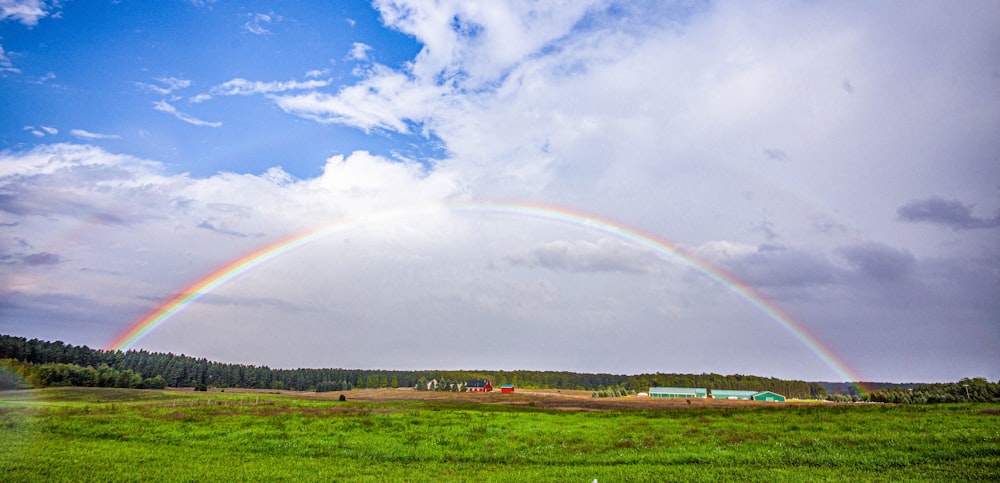 a rainbow over a field