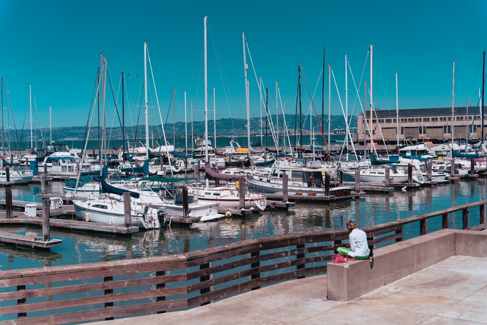 a marina full of boats