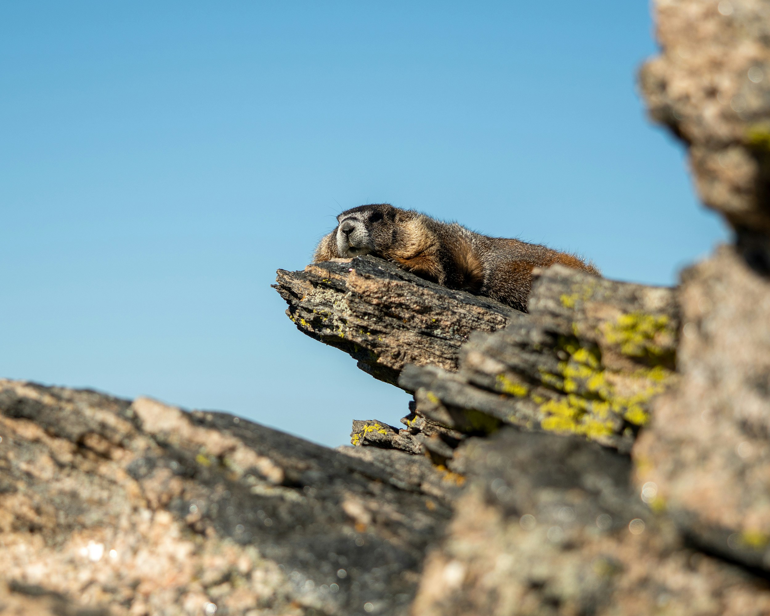 Photo by andyasmarketing