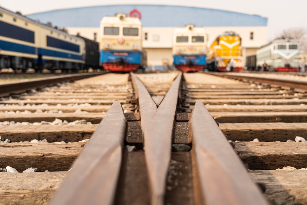 a group of trains on tracks