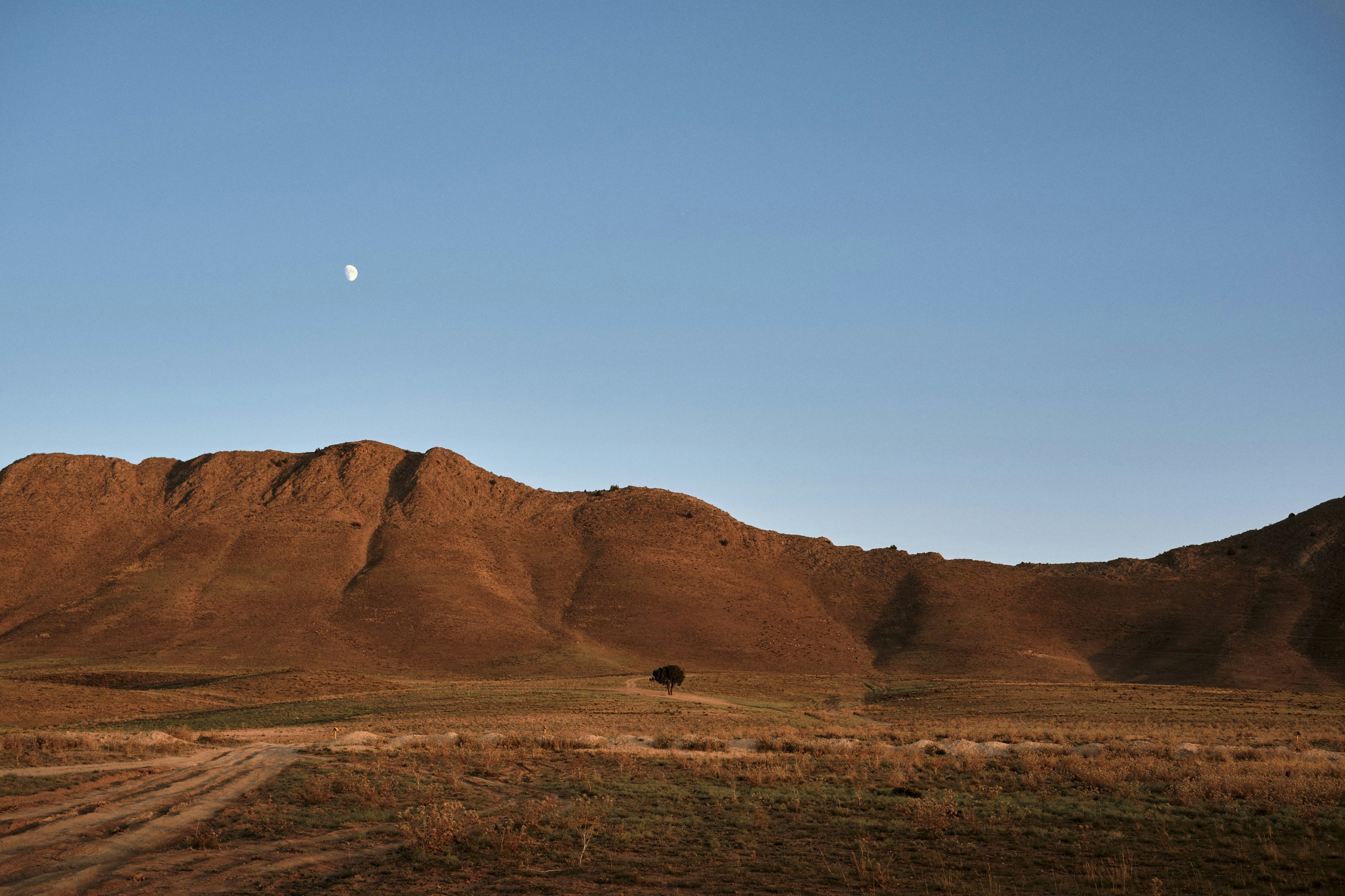 Photo by alirezabanijani