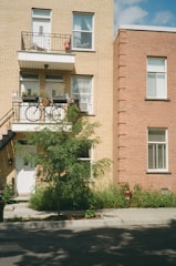 a tree in front of a brick building