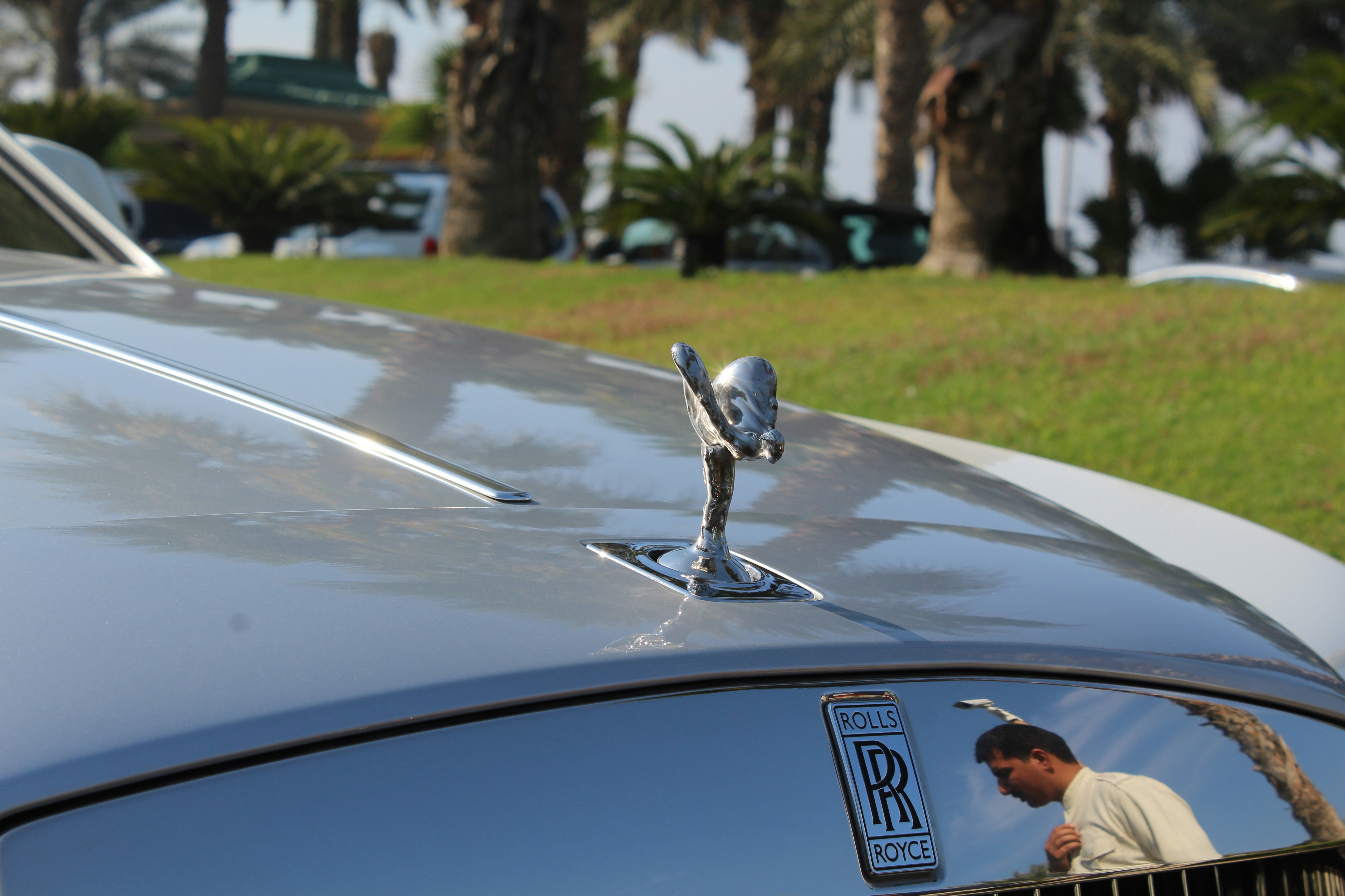 Marque De Voiture Avec Un Oiseau