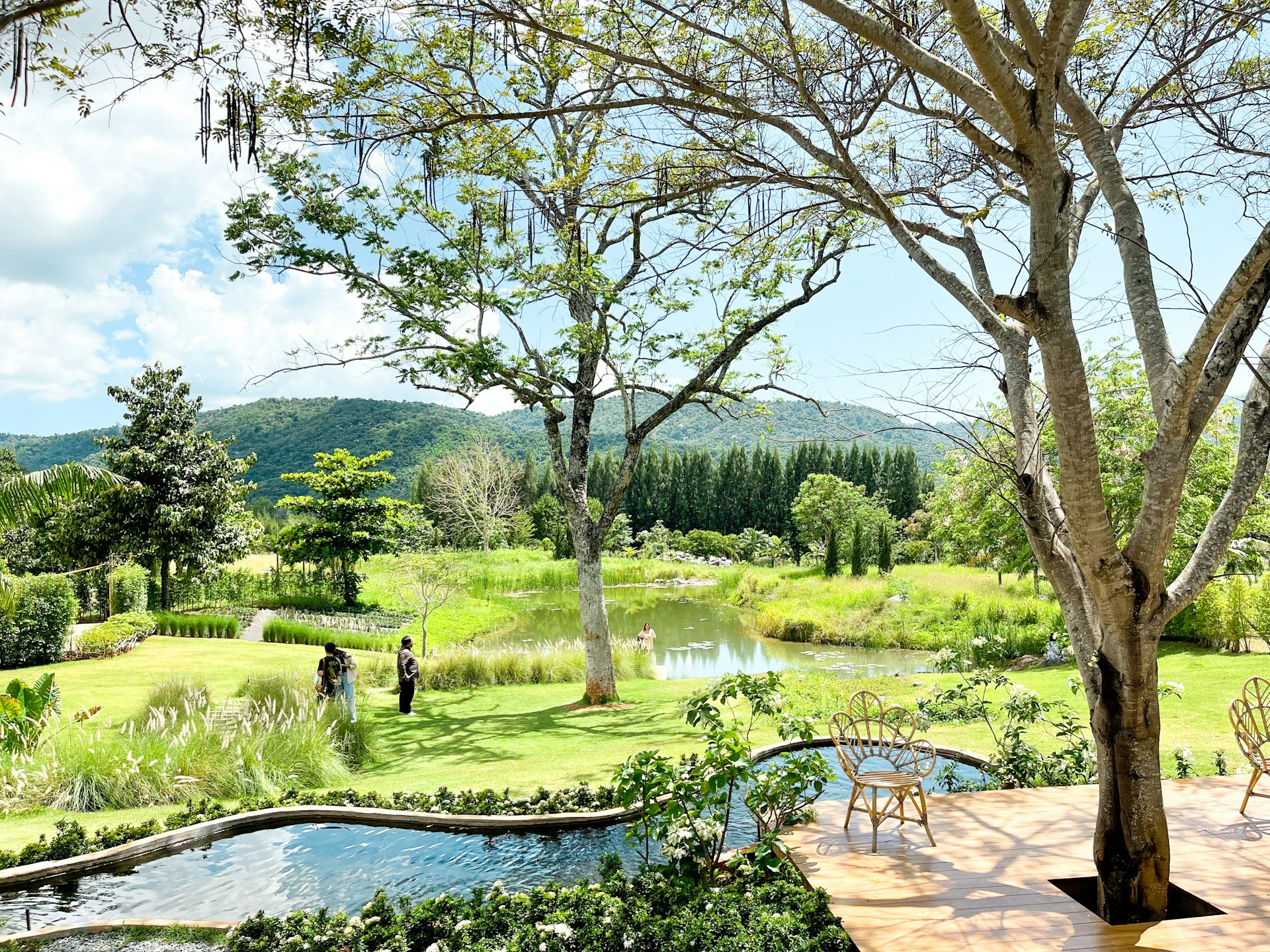 woman wearing yellow long-sleeved dress under white clouds and blue sky during daytime
