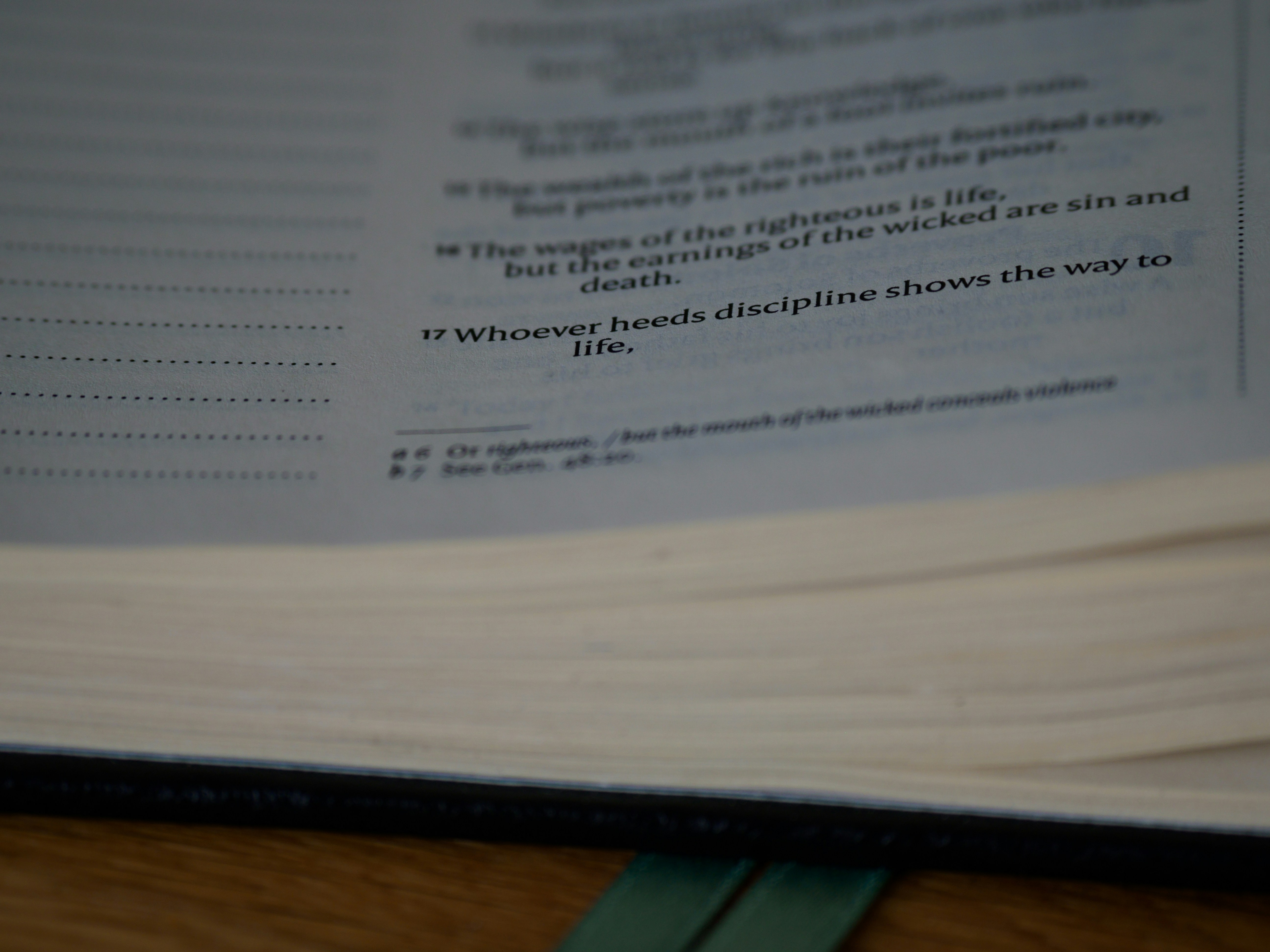 Photo by brett_jordan