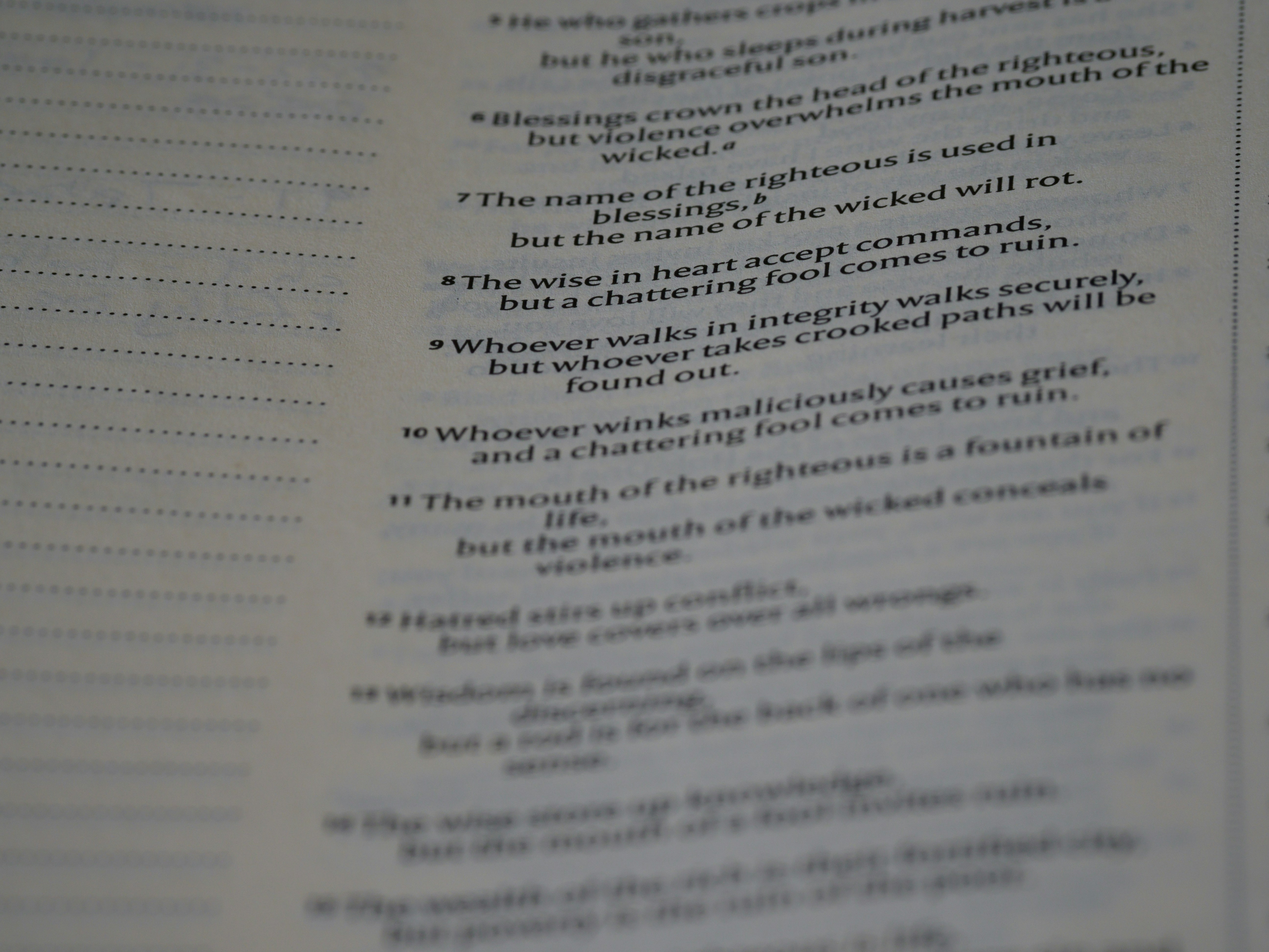 Photo by brett_jordan