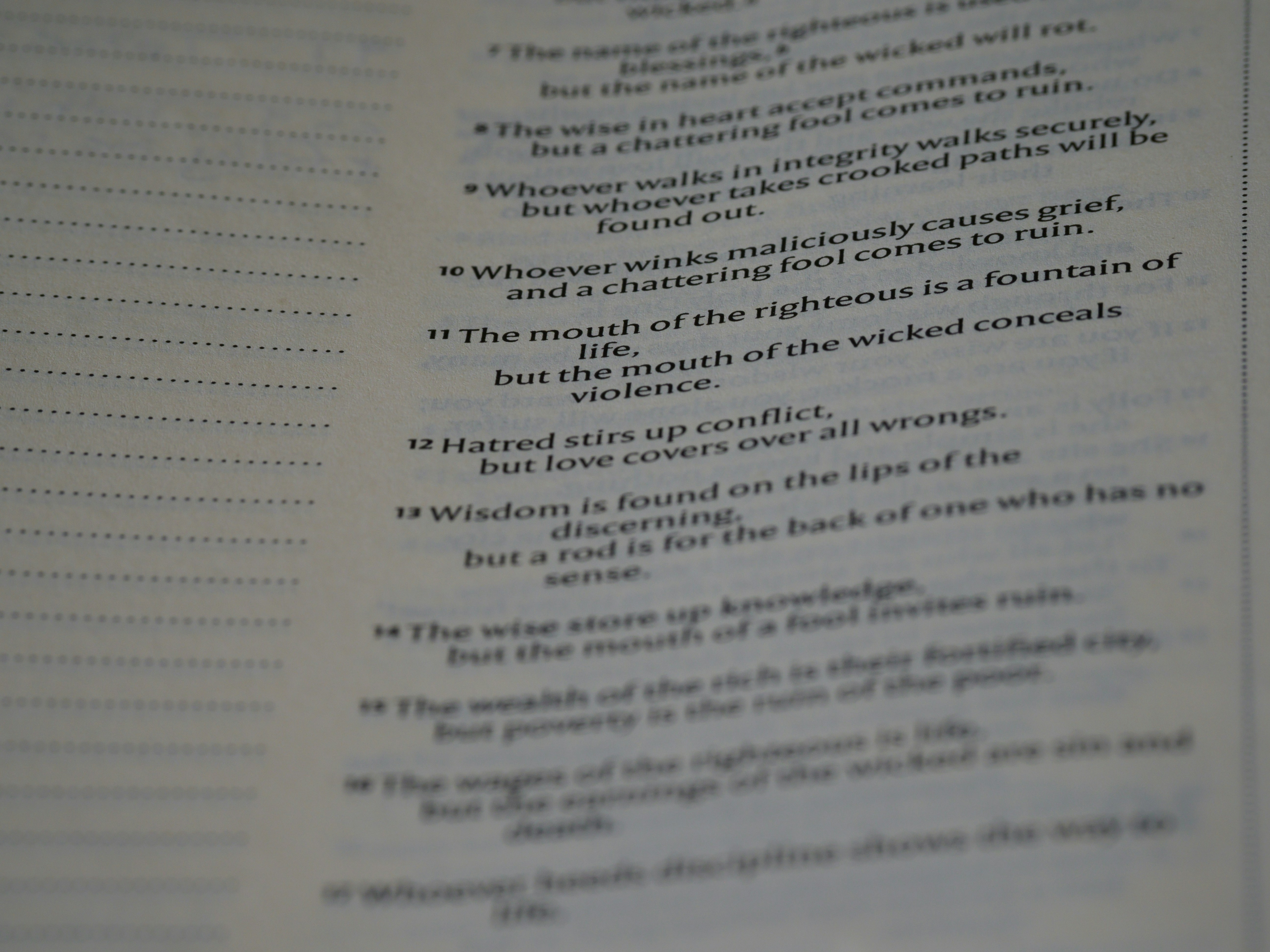 Photo by brett_jordan