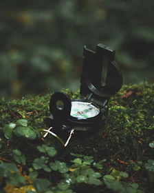 Hands gently holding a compass resting on a bed of moss and leaves.