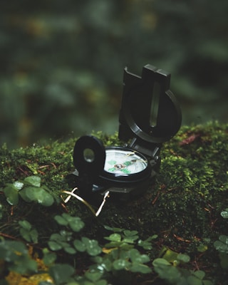 A compass is placed on a bed of lush green moss in a forest setting, surrounded by small leaves and vegetation, suggesting an outdoors or nature exploration theme.