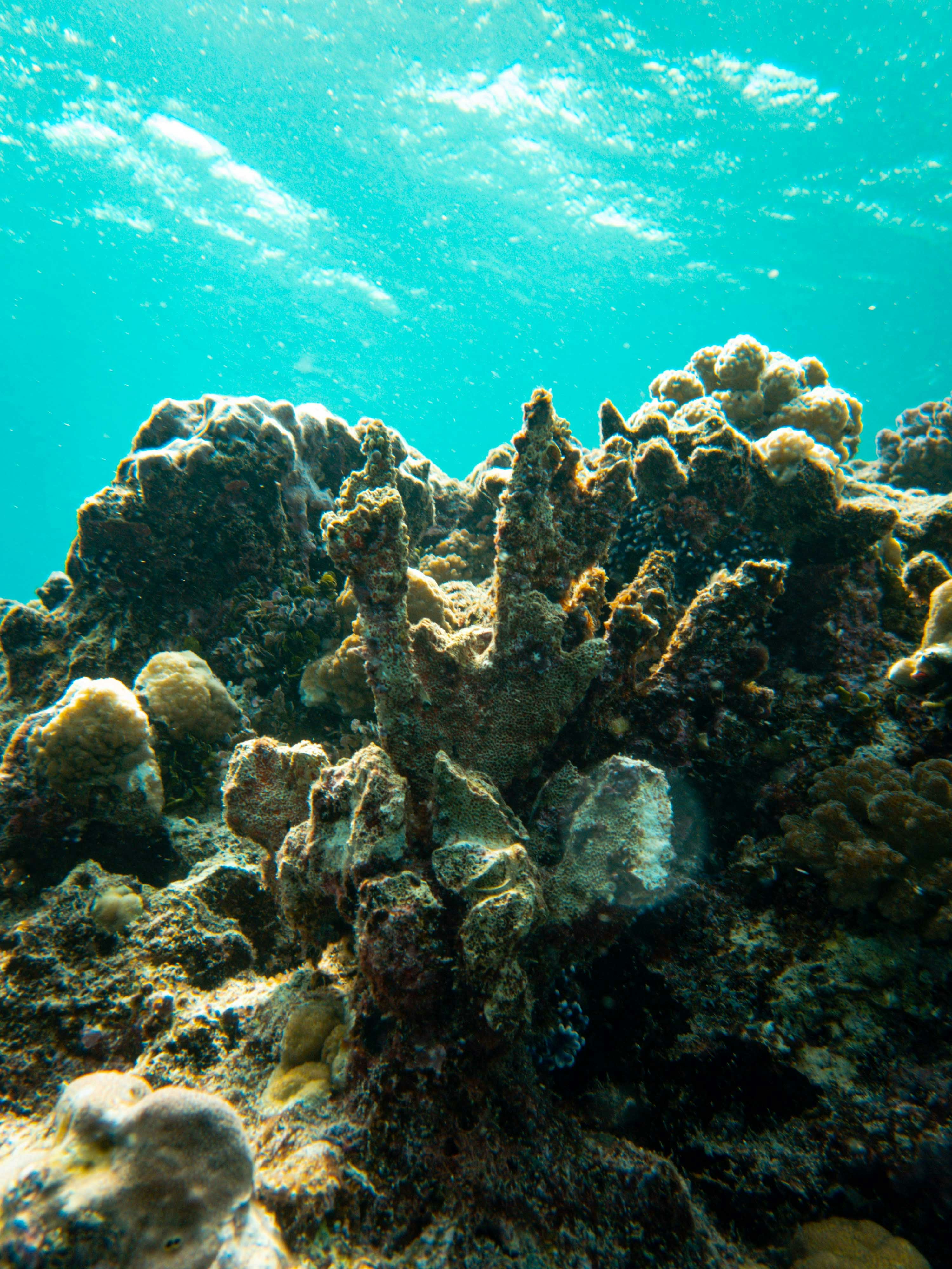 Imagen de unsplash de Francesco Ungaro