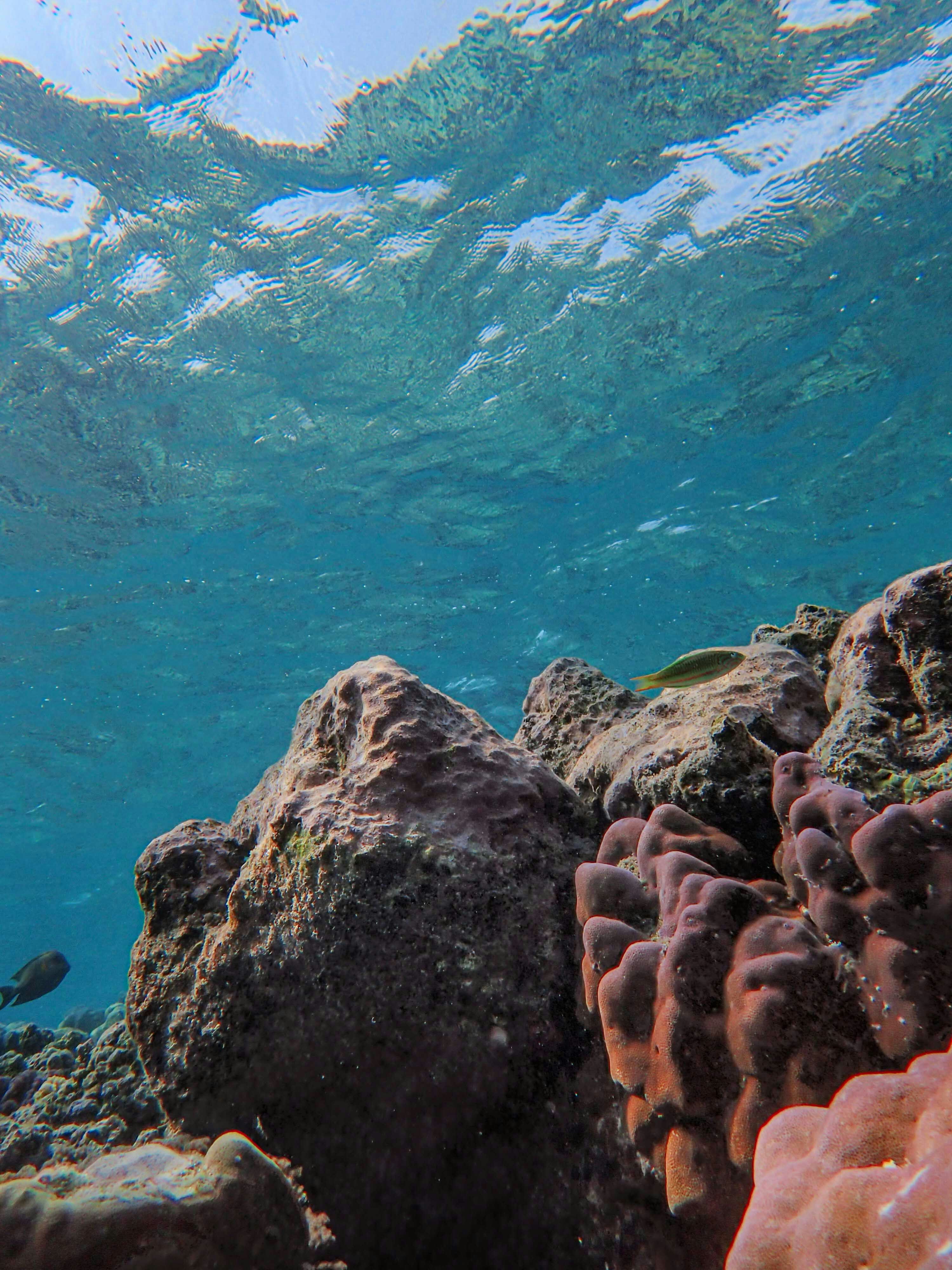 Photo by francesco_ungaro