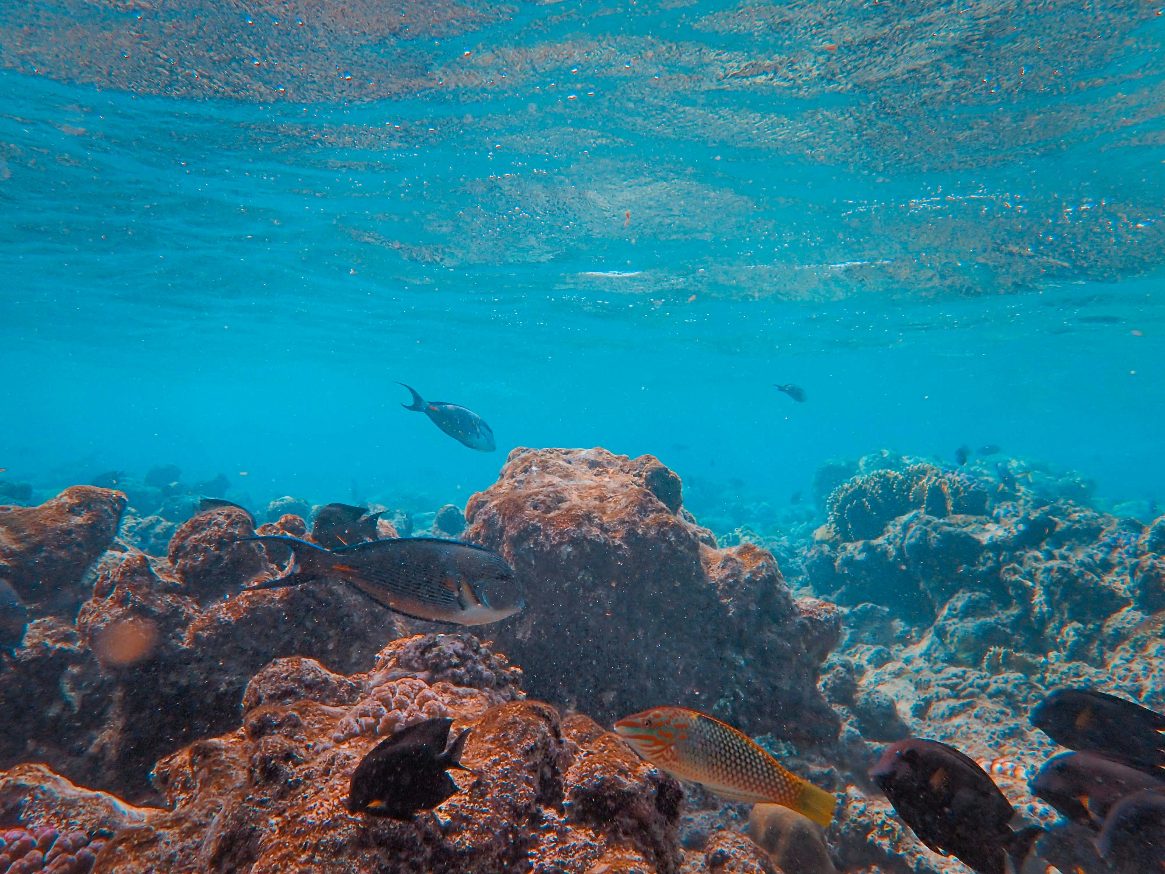 Photo by francesco_ungaro