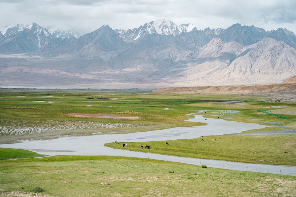 a large field with mountains in the background