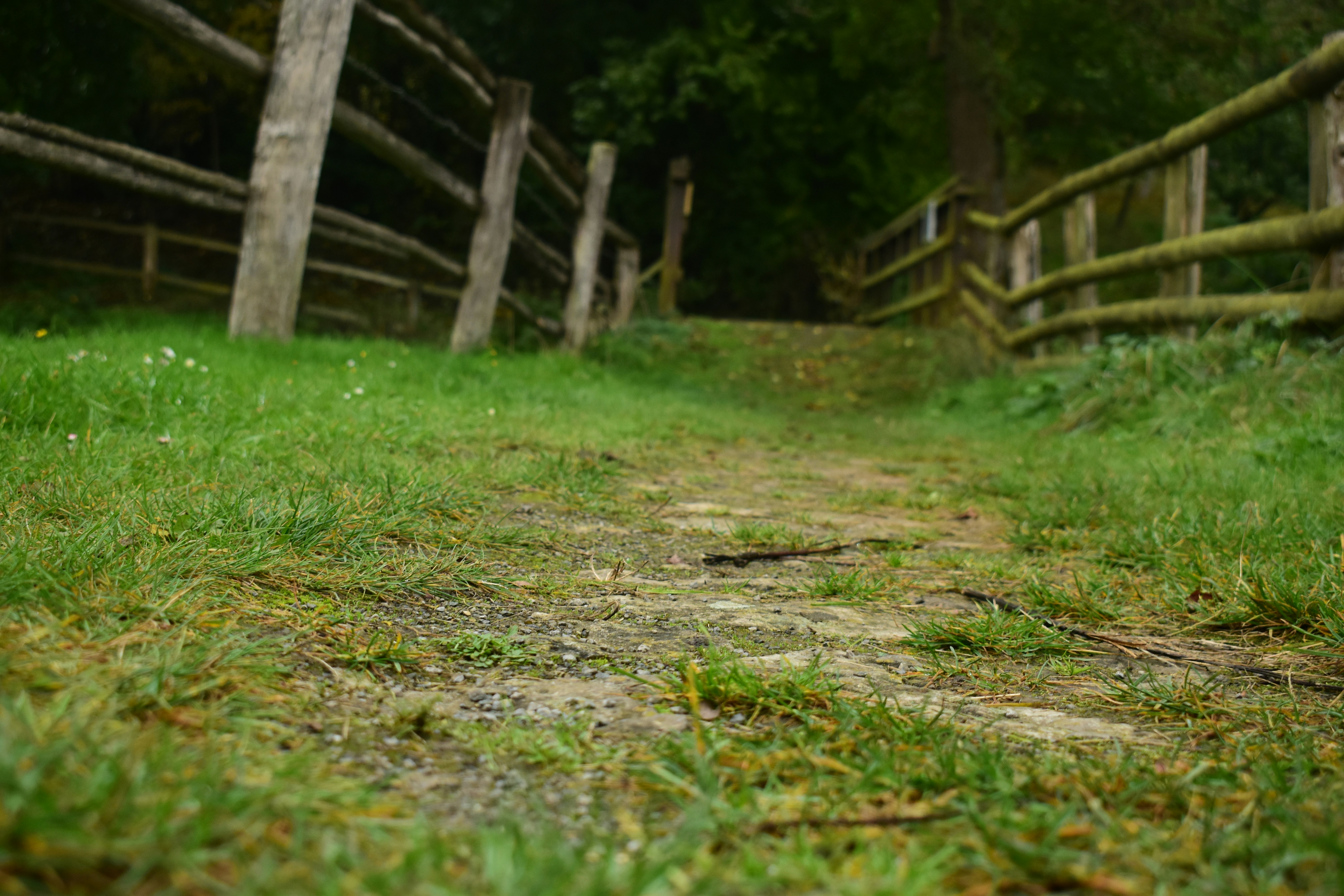 Photo by welcometojo_