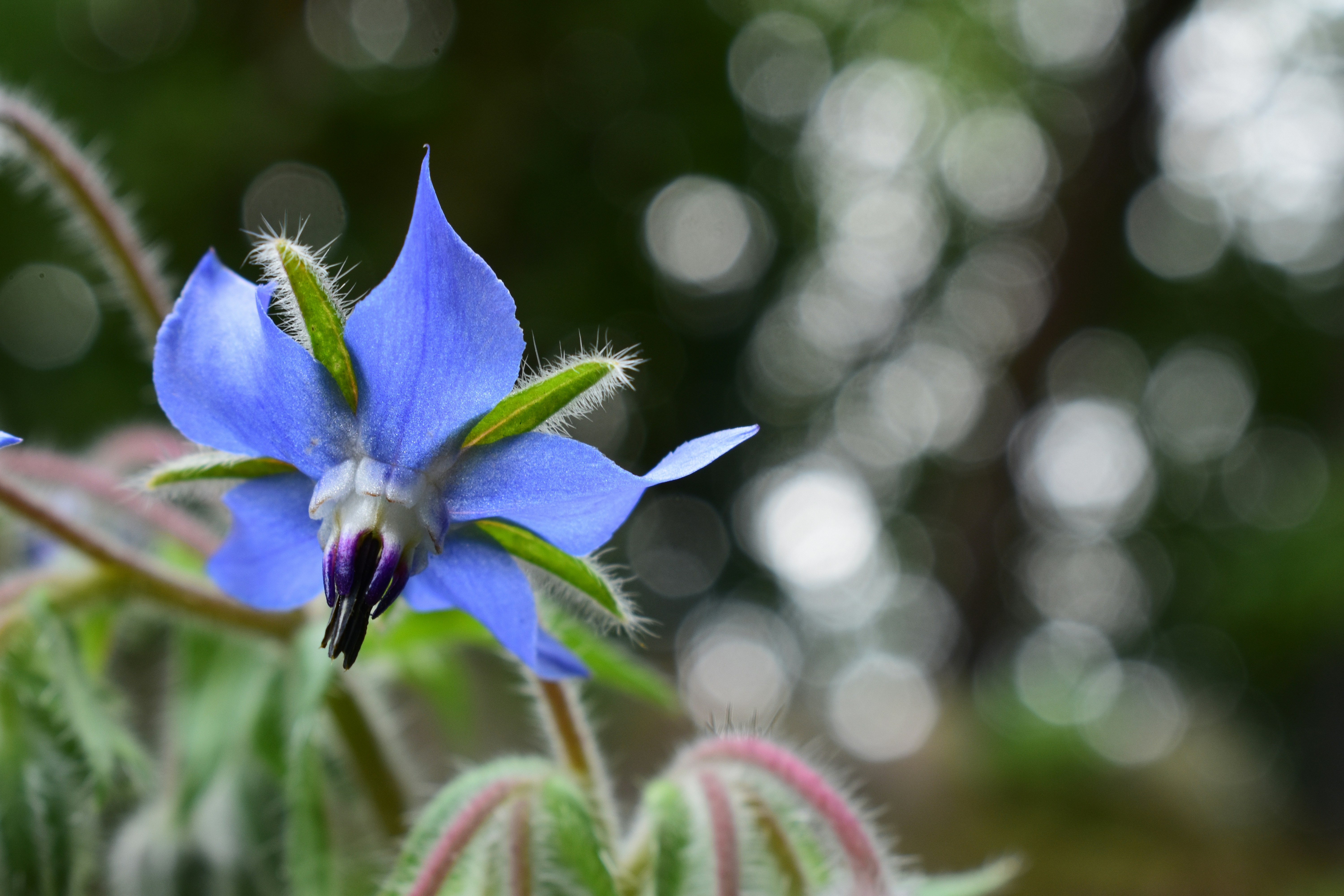 Photo by welcometojo_