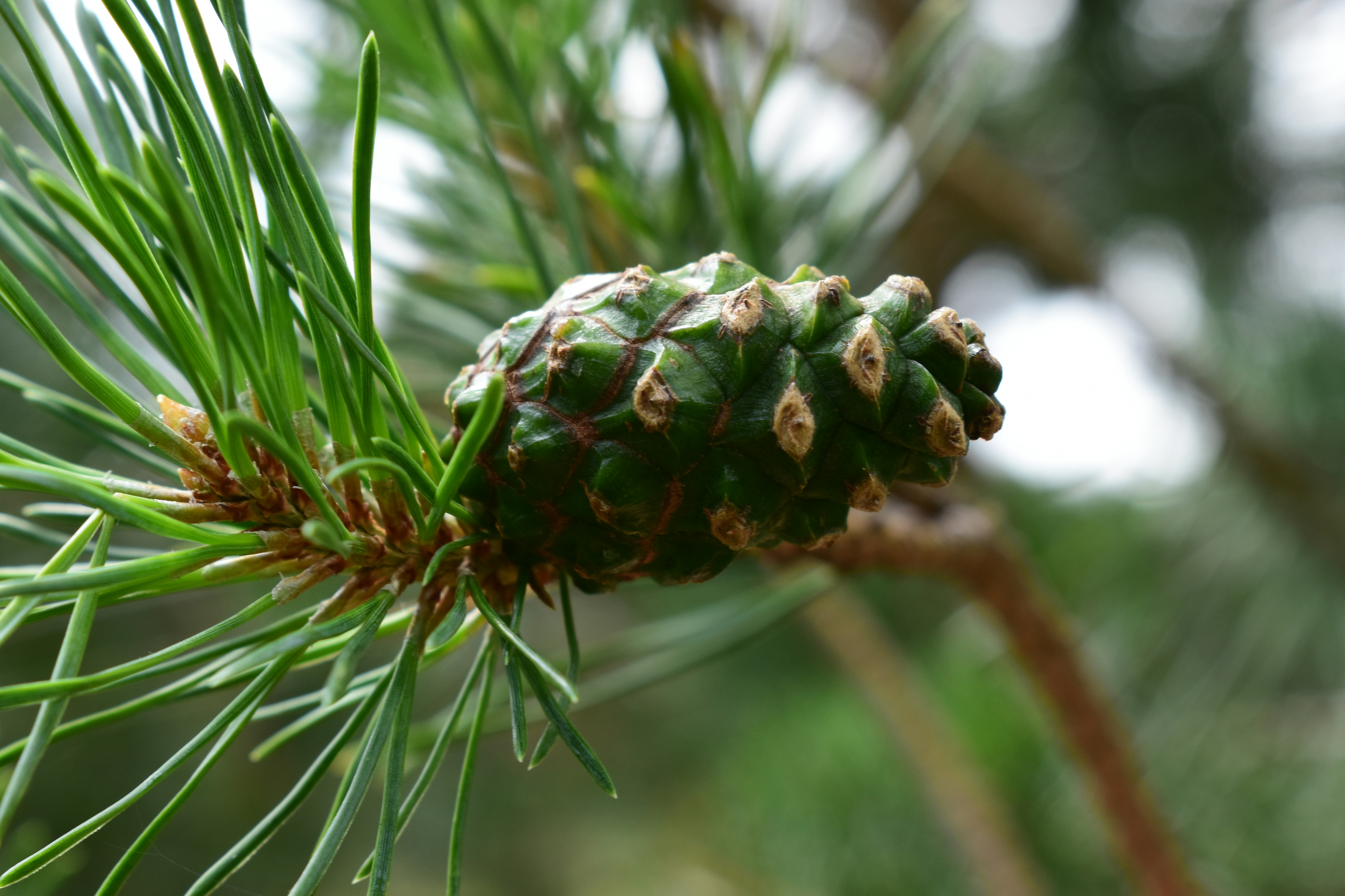 Photo by welcometojo_